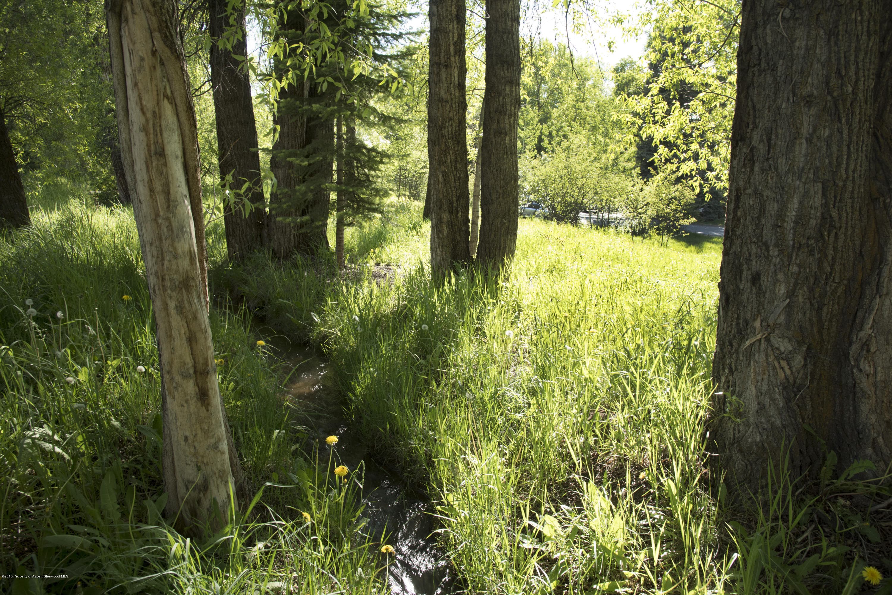 Tbd Eighth Street Lot 5, Aspen, CO 81611 - Photo 17