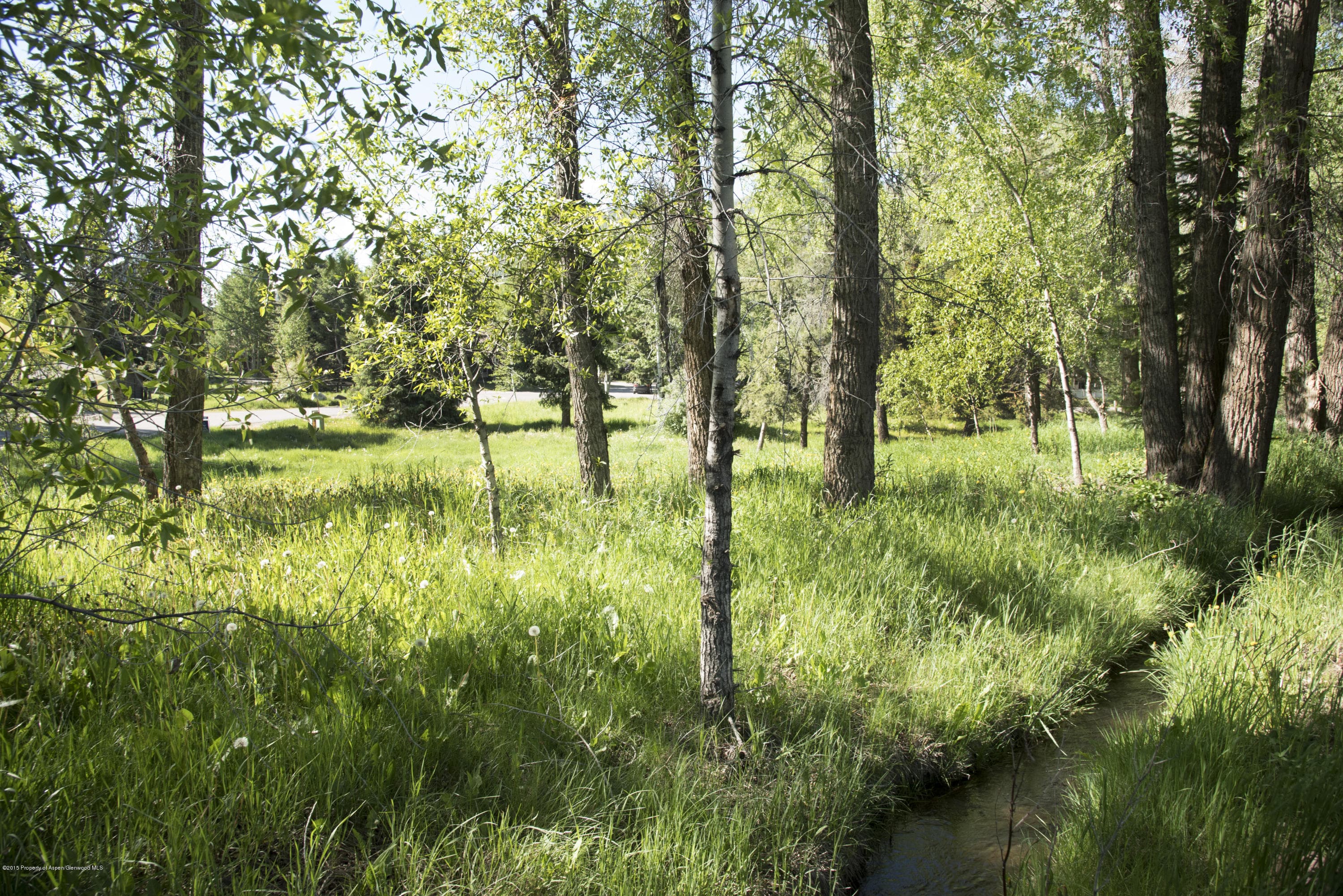 Tbd Eighth Street Lot 5, Aspen, CO 81611 - Photo 19