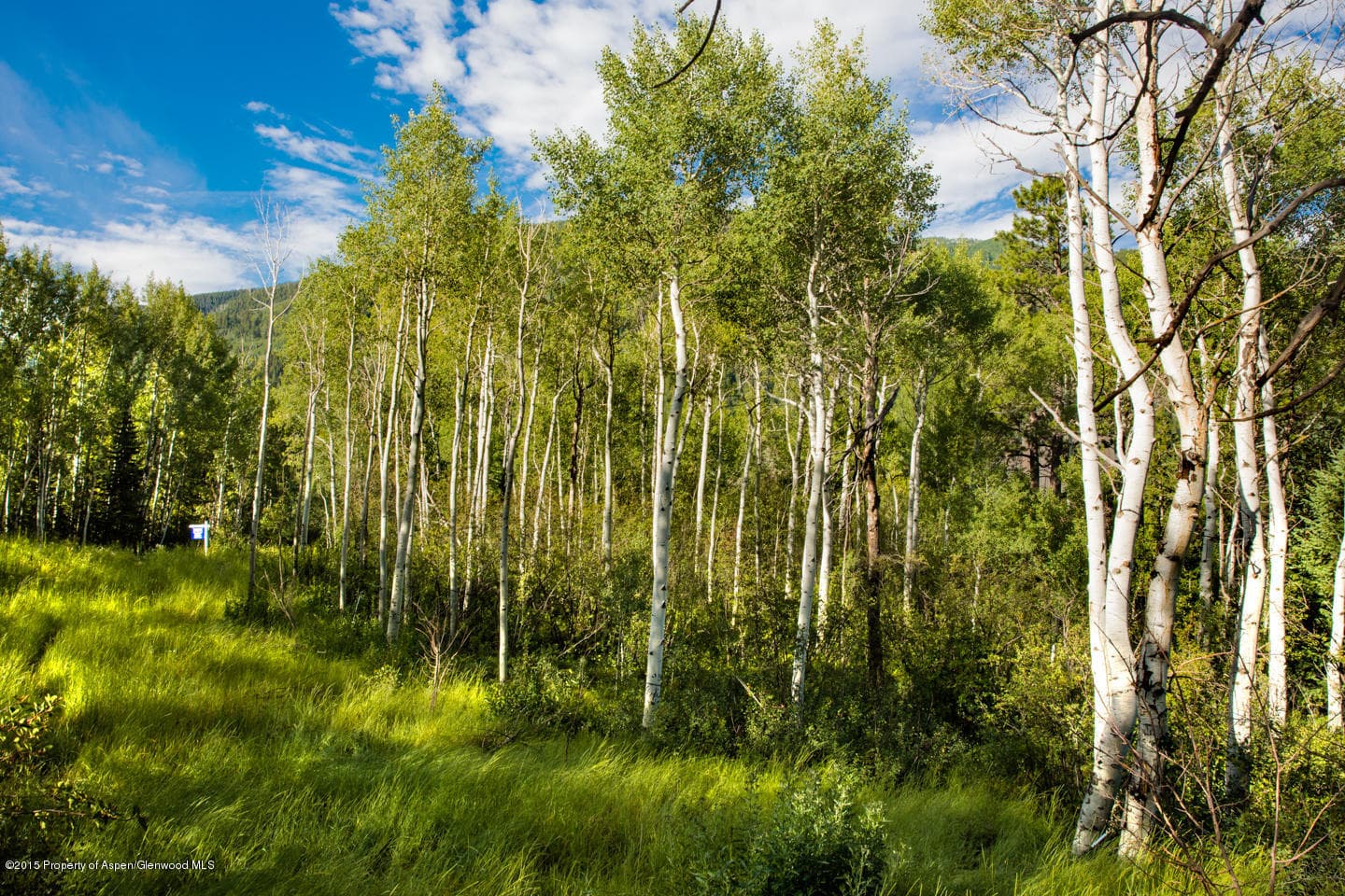287 Mcskimming Road, Aspen, CO 81611 - Photo 6