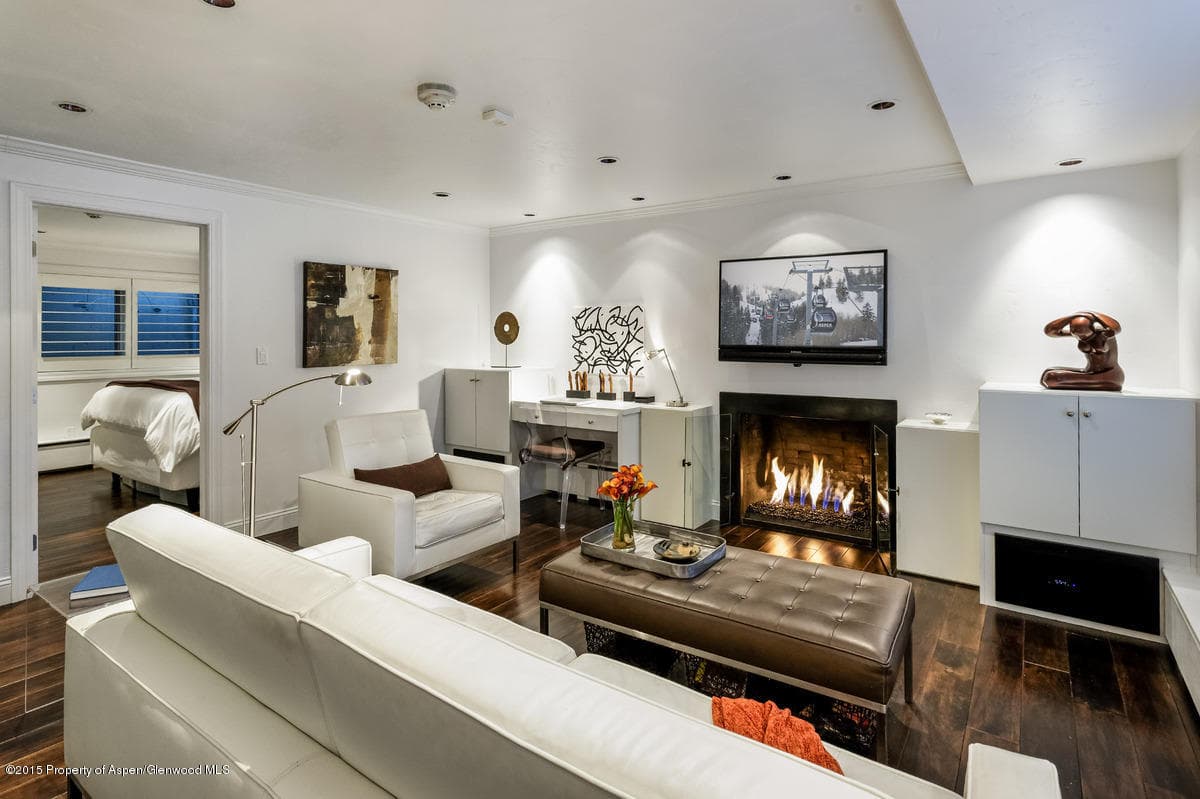 747 S Galena Street 110, Aspen, CO 81611 - Photo 3