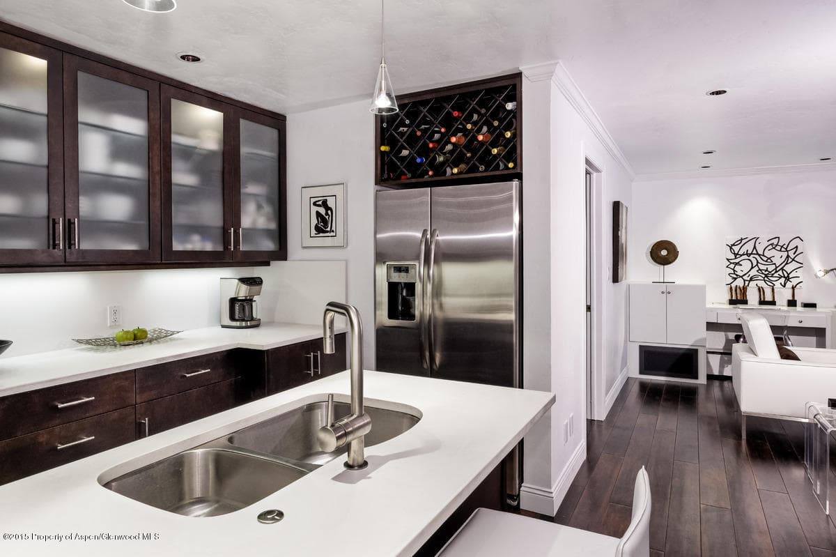 747 S Galena Street 110, Aspen, CO 81611 - Photo 8
