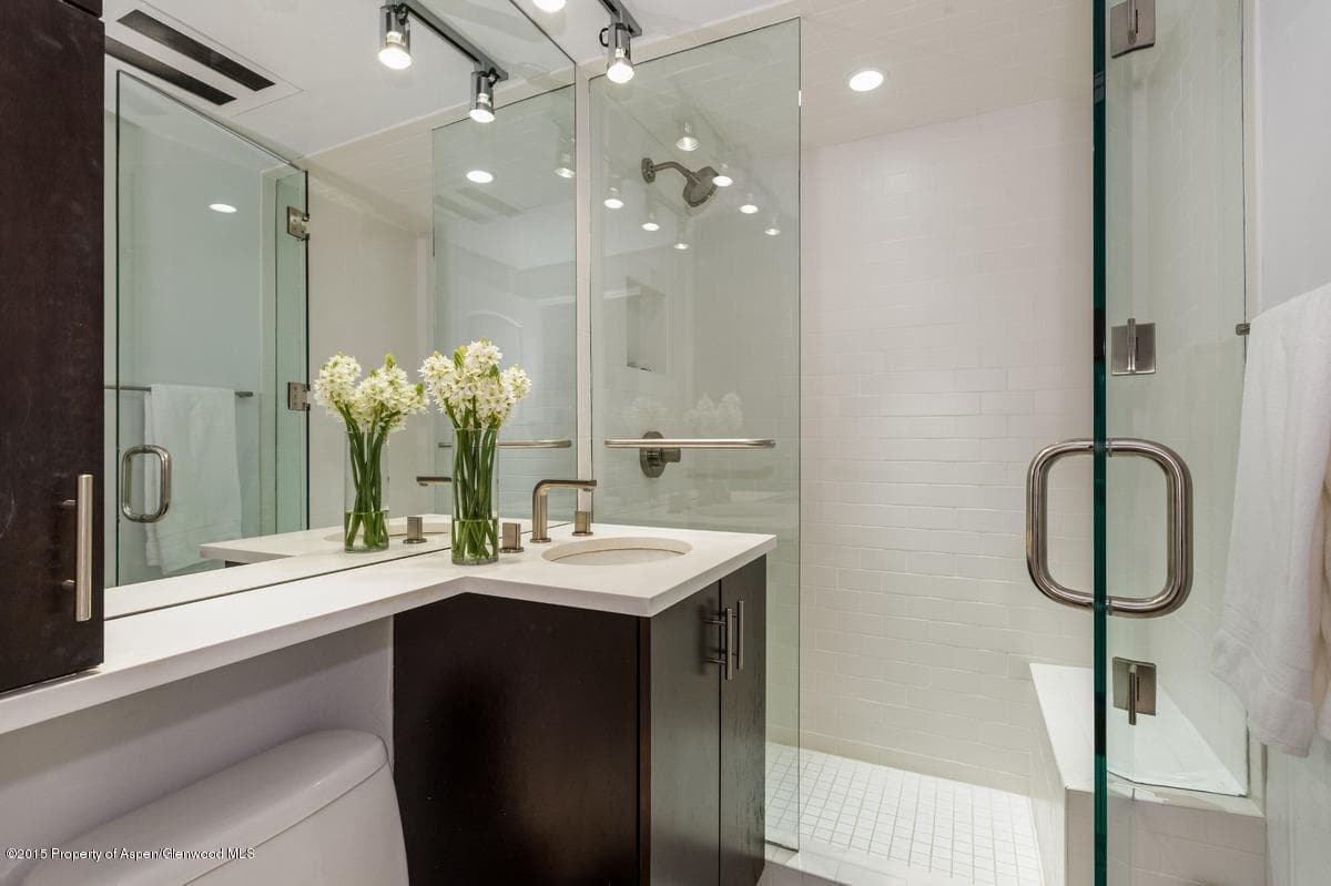747 S Galena Street 110, Aspen, CO 81611 - Photo 11