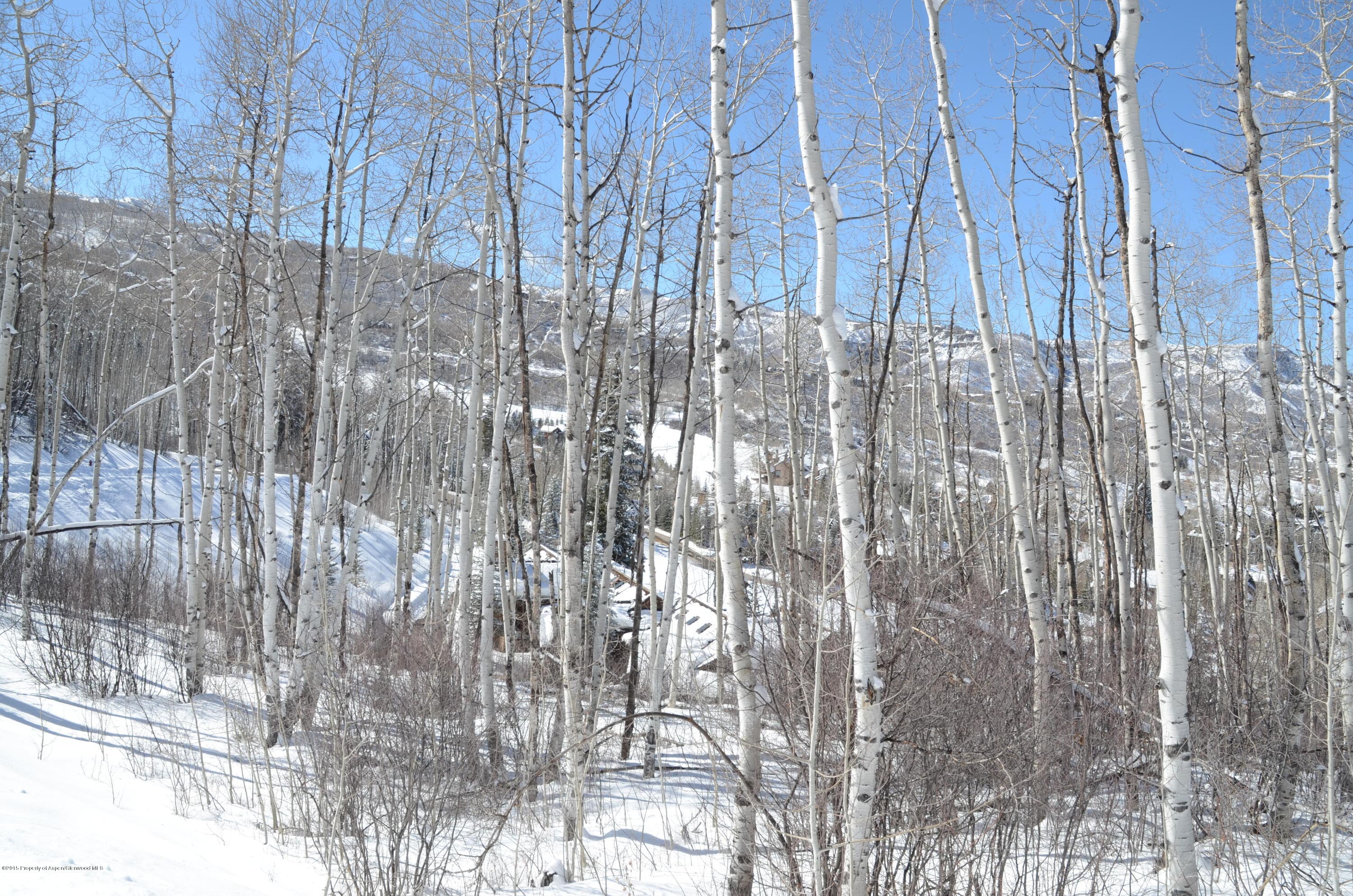 270 Spruce Ridge Lane, Snowmass Village, CO 81615 - Photo 3