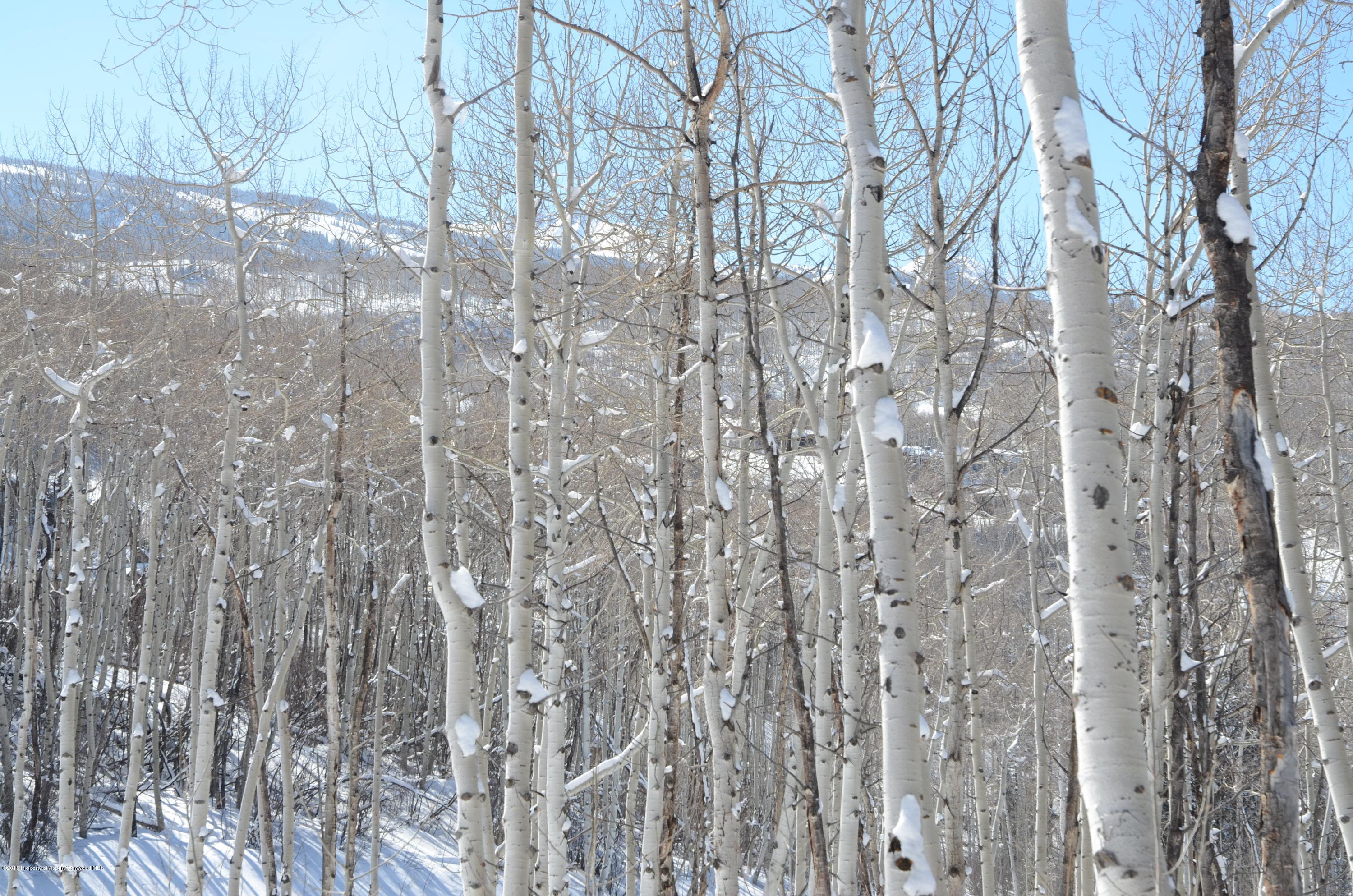 270 Spruce Ridge Lane, Snowmass Village, CO 81615 - Photo 6