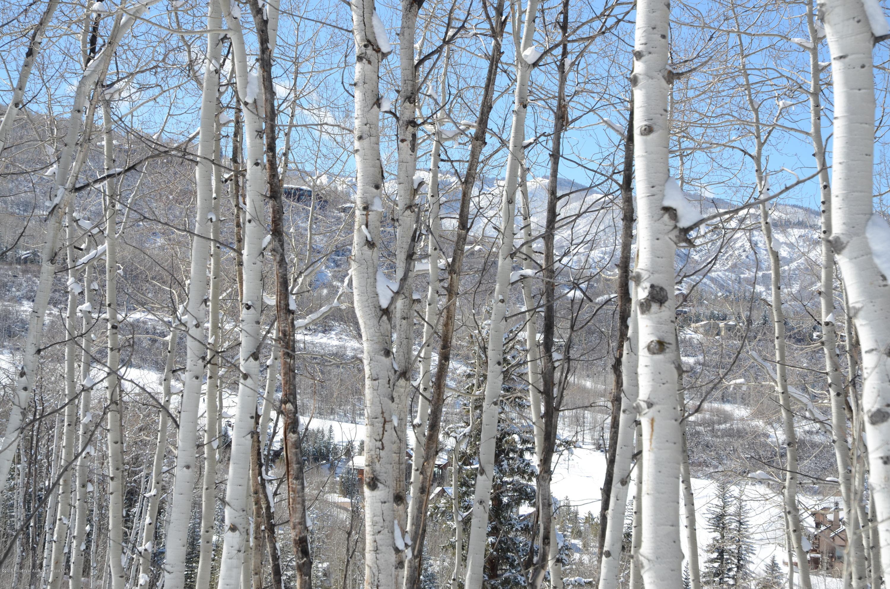 270 Spruce Ridge Lane, Snowmass Village, CO 81615 - Photo 9