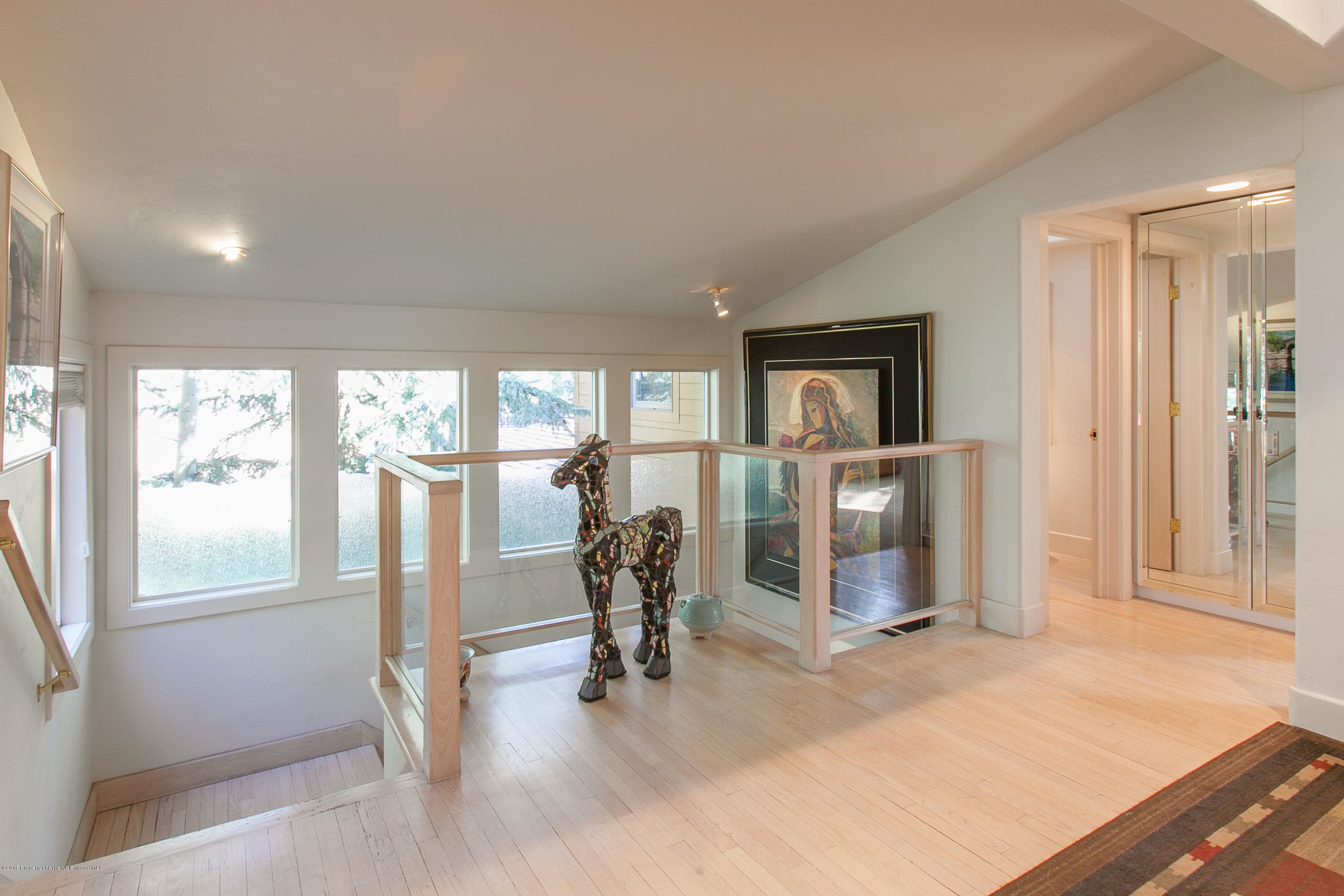725 Castle Creek, Aspen, CO 81611 - Photo 11