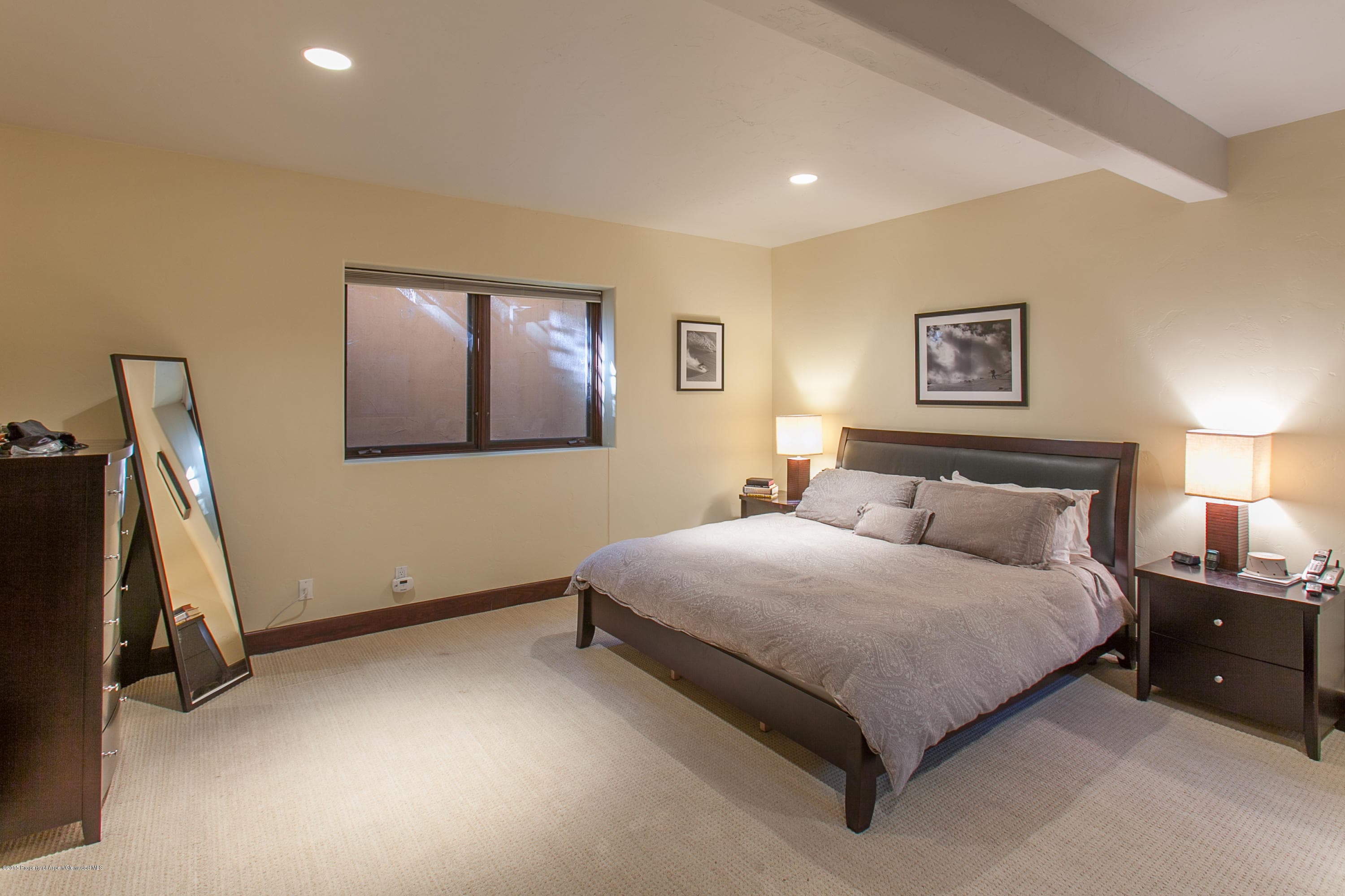 725 Castle Creek, Aspen, CO 81611 - Photo 13