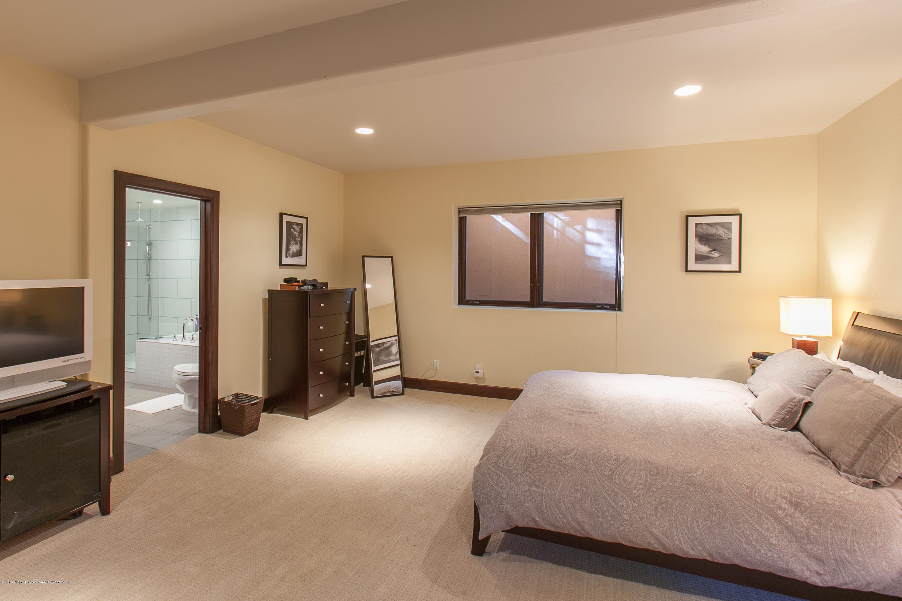 725 Castle Creek, Aspen, CO 81611 - Photo 14
