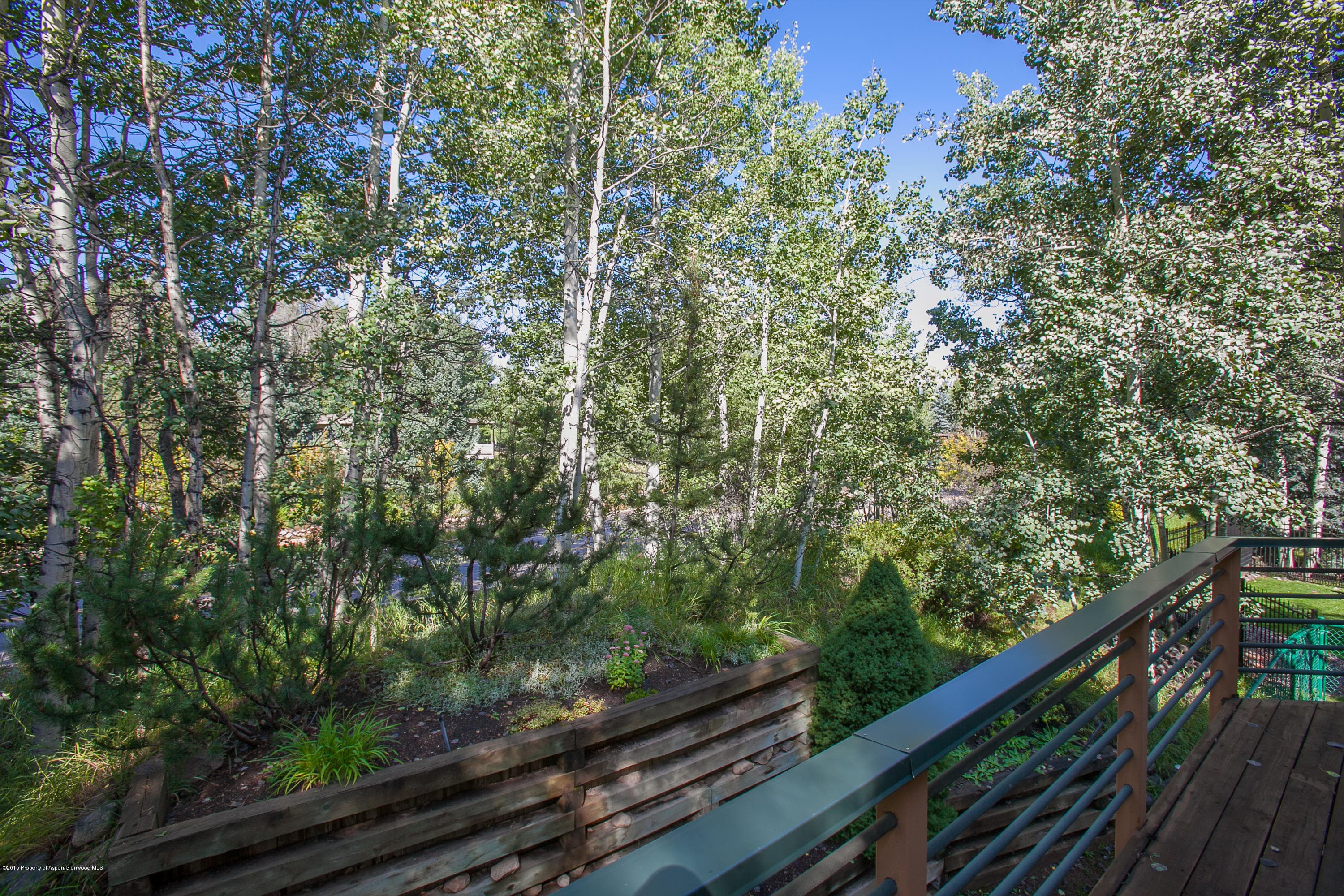 725 Castle Creek, Aspen, CO 81611 - Photo 20