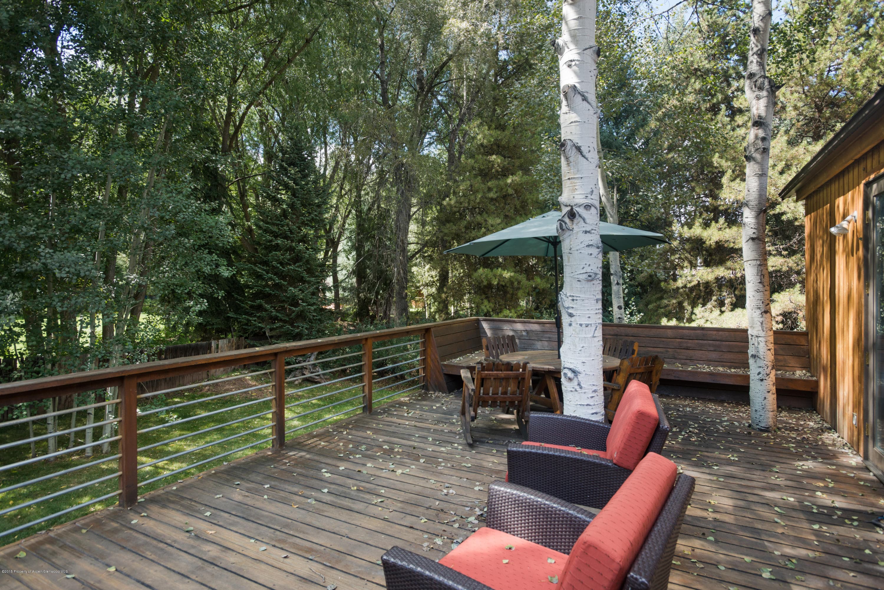 945 Cemetery Lane, Aspen, CO 81611 - Photo 16