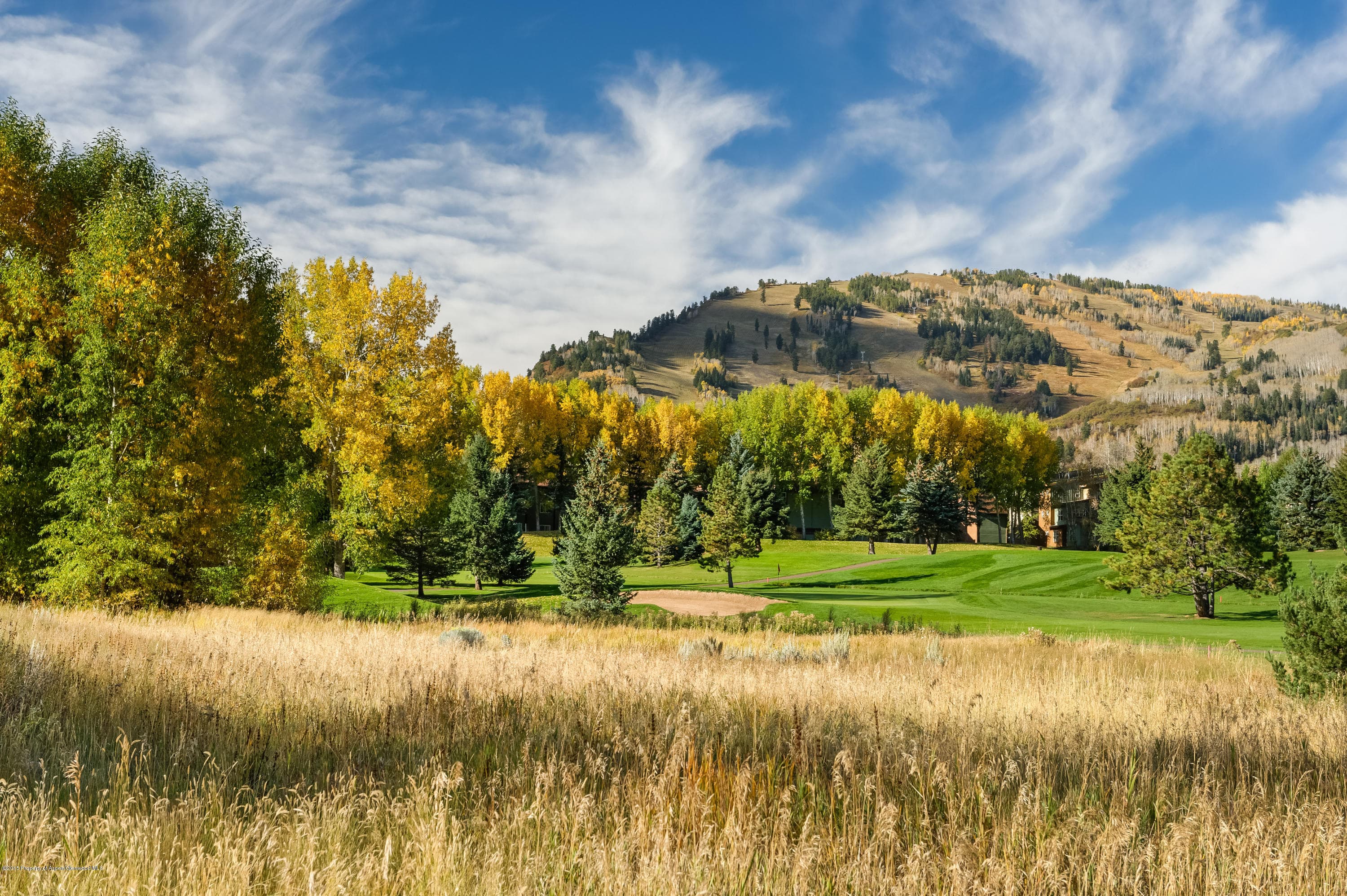 Tbd Sierra Vista Drive, Aspen, CO 81611 - Photo 6