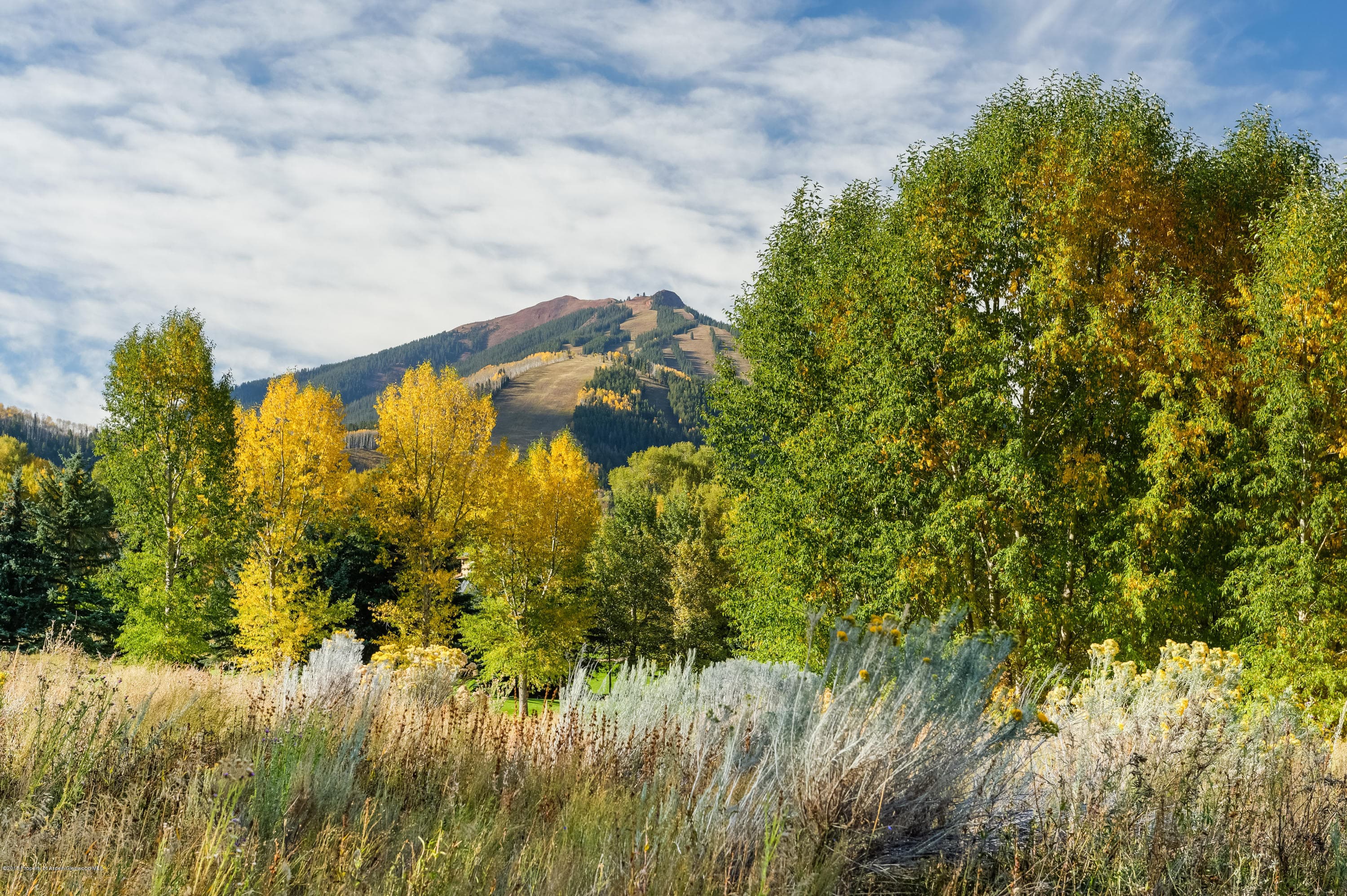 Tbd Sierra Vista Drive, Aspen, CO 81611 - Photo 7