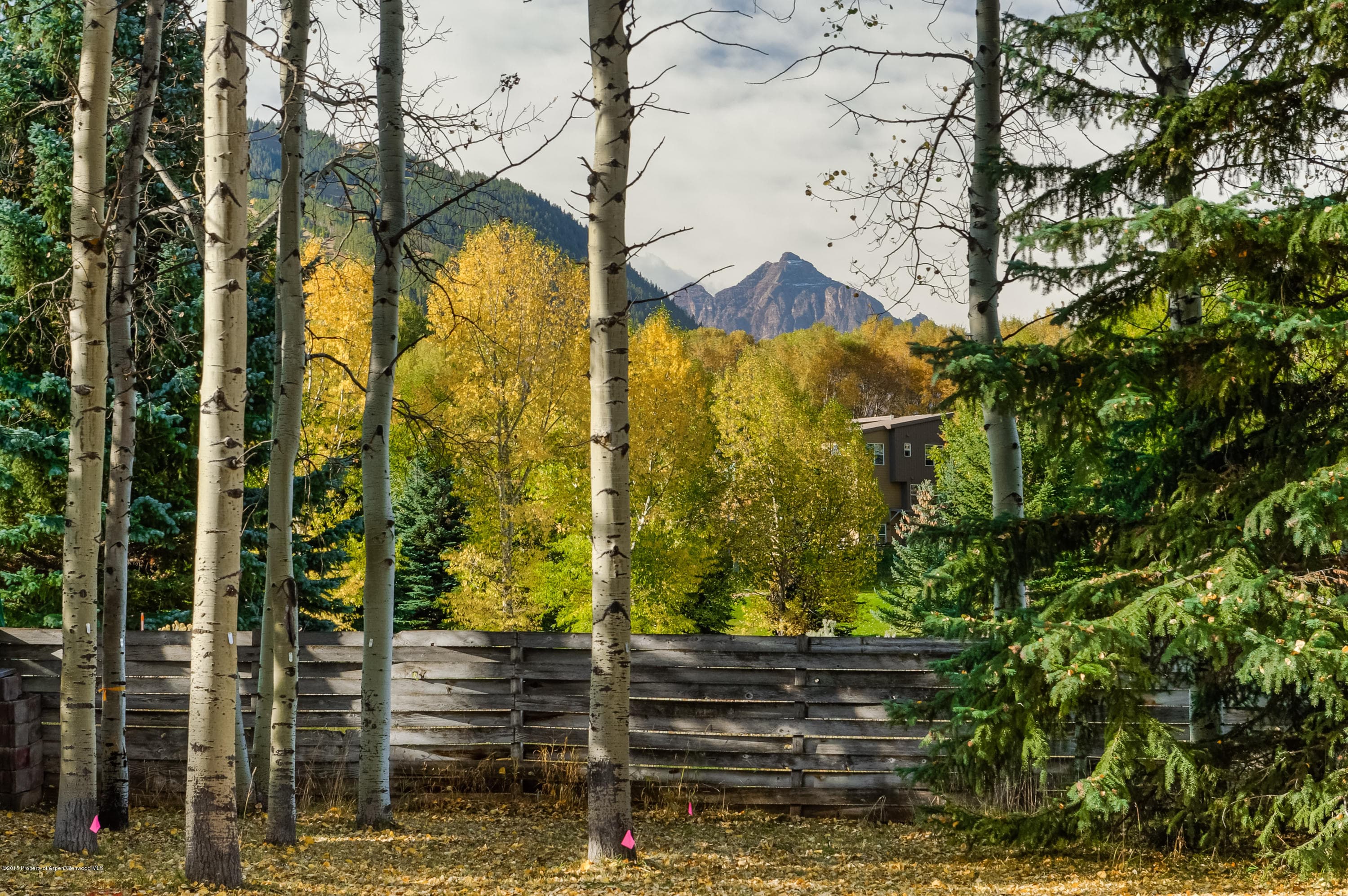 Tbd Sierra Vista Drive, Aspen, CO 81611 - Photo 10