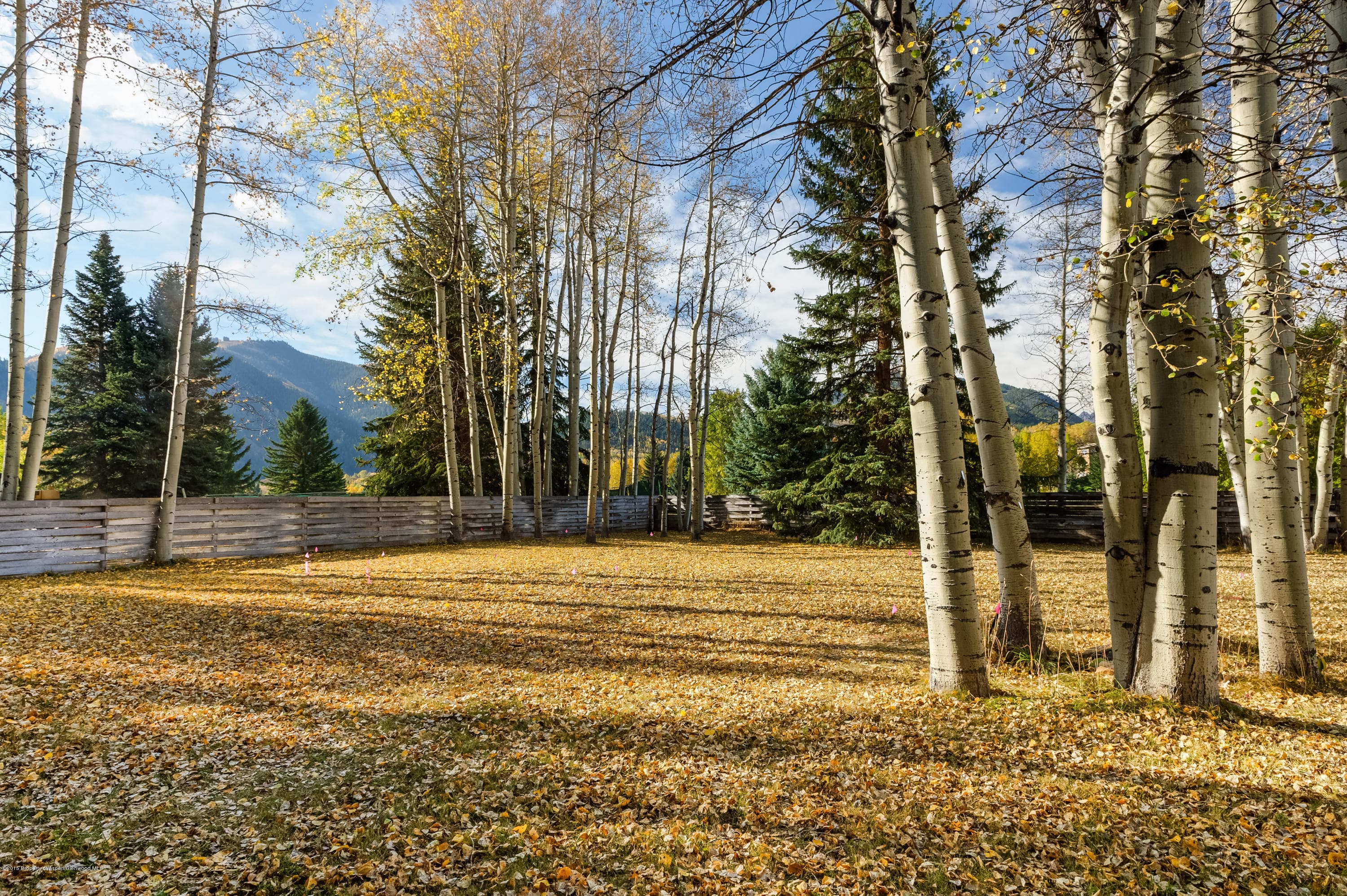 Tbd Sierra Vista Drive, Aspen, CO 81611 - Photo 16