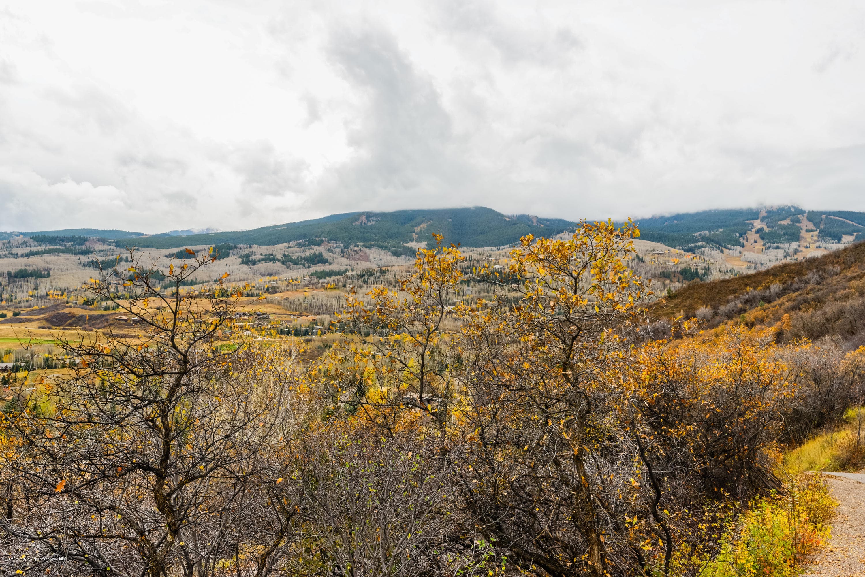 73 Sinclair Lane, Snowmass Village, CO 81615 - Photo 23