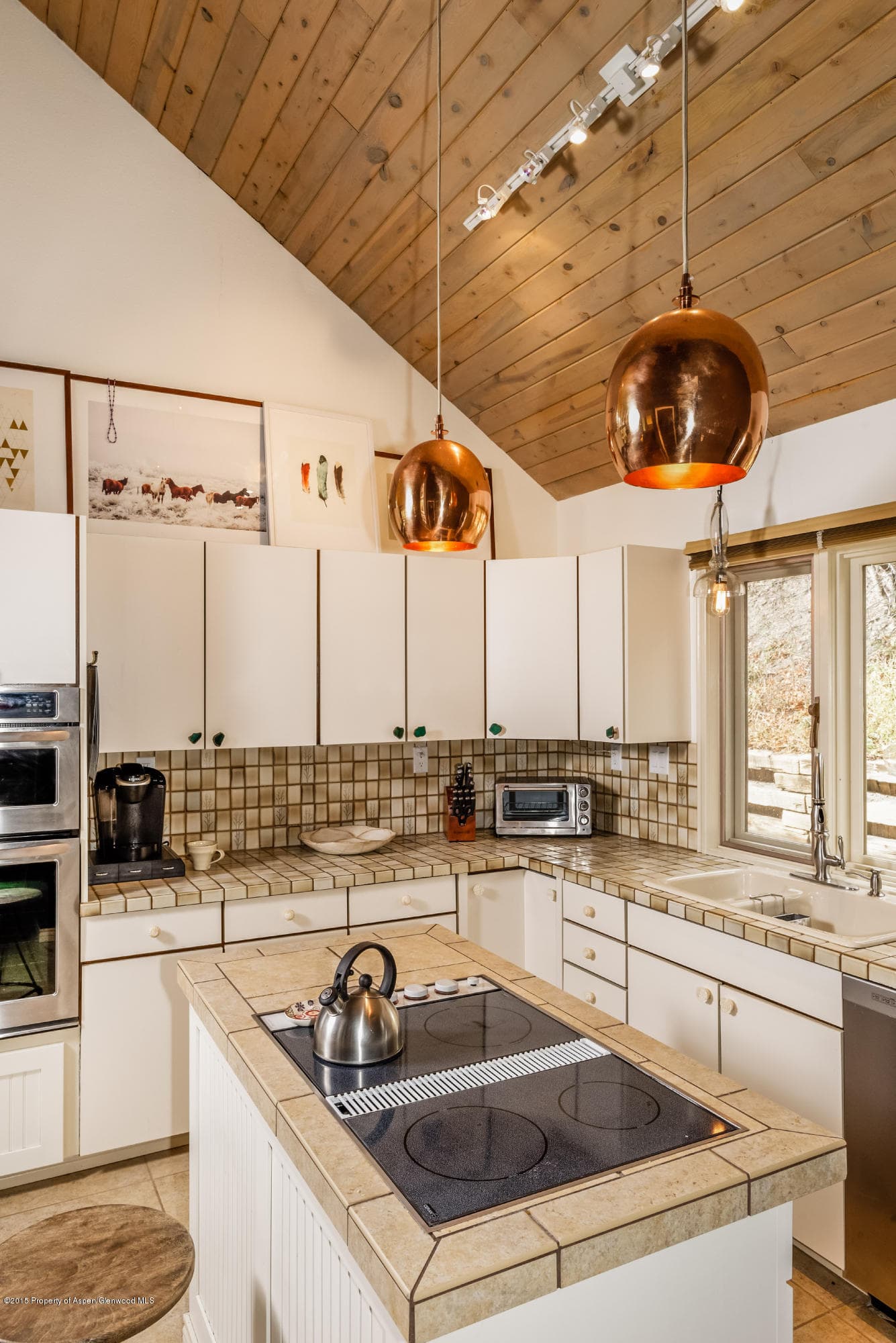 73 Sinclair Lane, Snowmass Village, CO 81615 - Photo 9