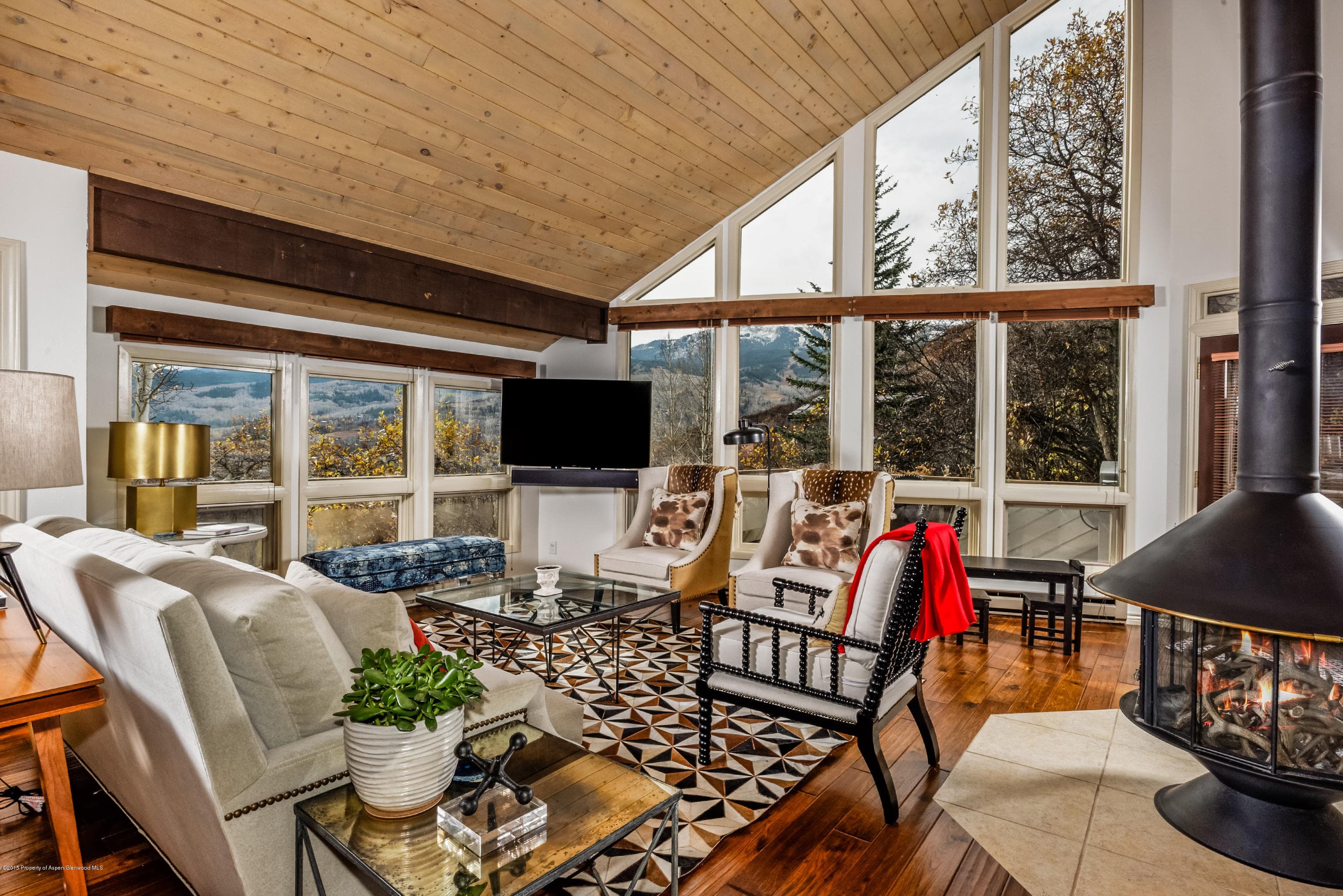 73 Sinclair Lane, Snowmass Village, CO 81615 - Photo 6