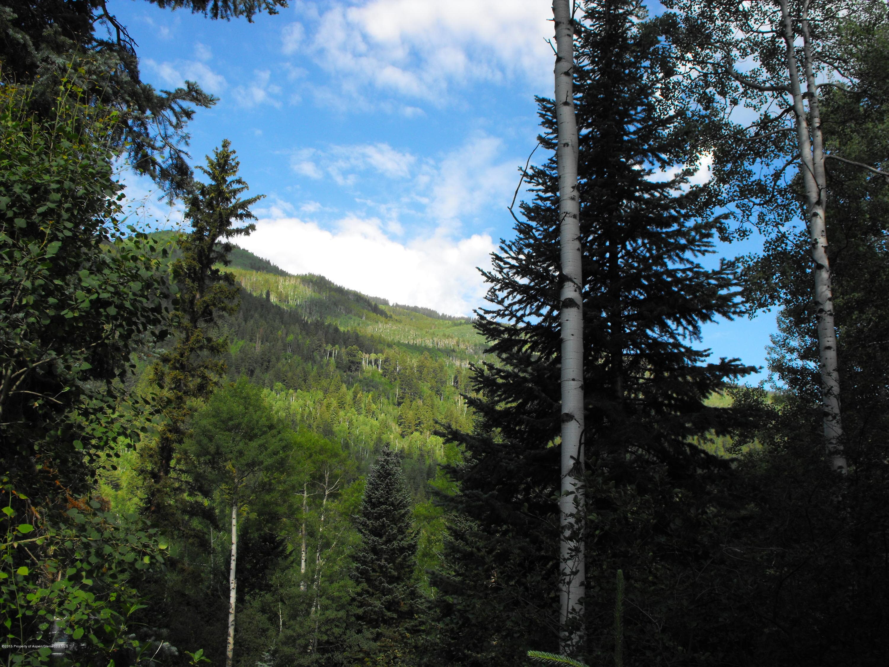 44971 E Highway 82, Aspen, CO 81611 - Photo 17
