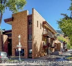 300 S Spring Street 102, Aspen, CO 81611 - Photo 11