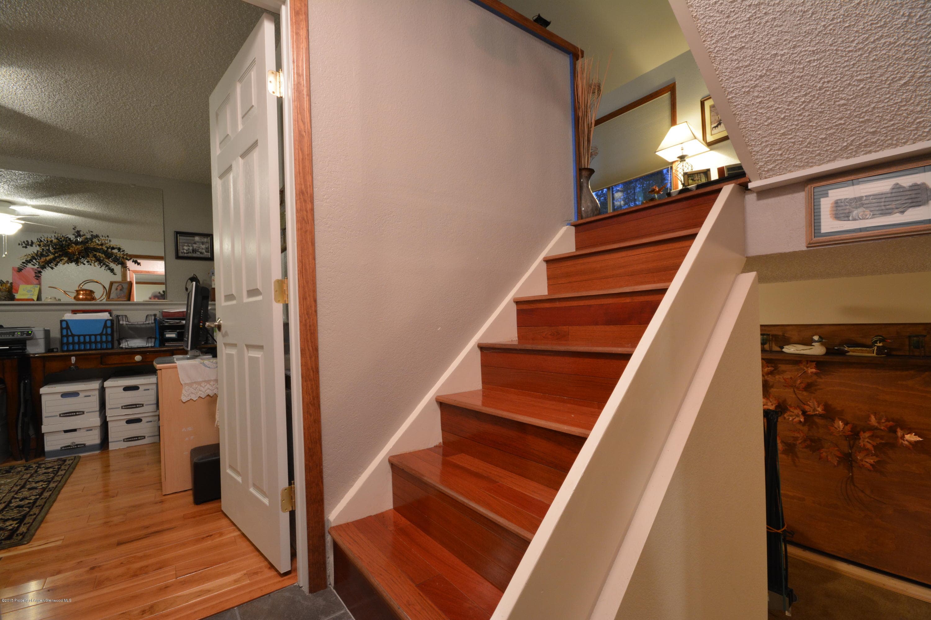 1000 Mount Sopris Drive 2, Glenwood Springs, CO 81601 - Photo 11