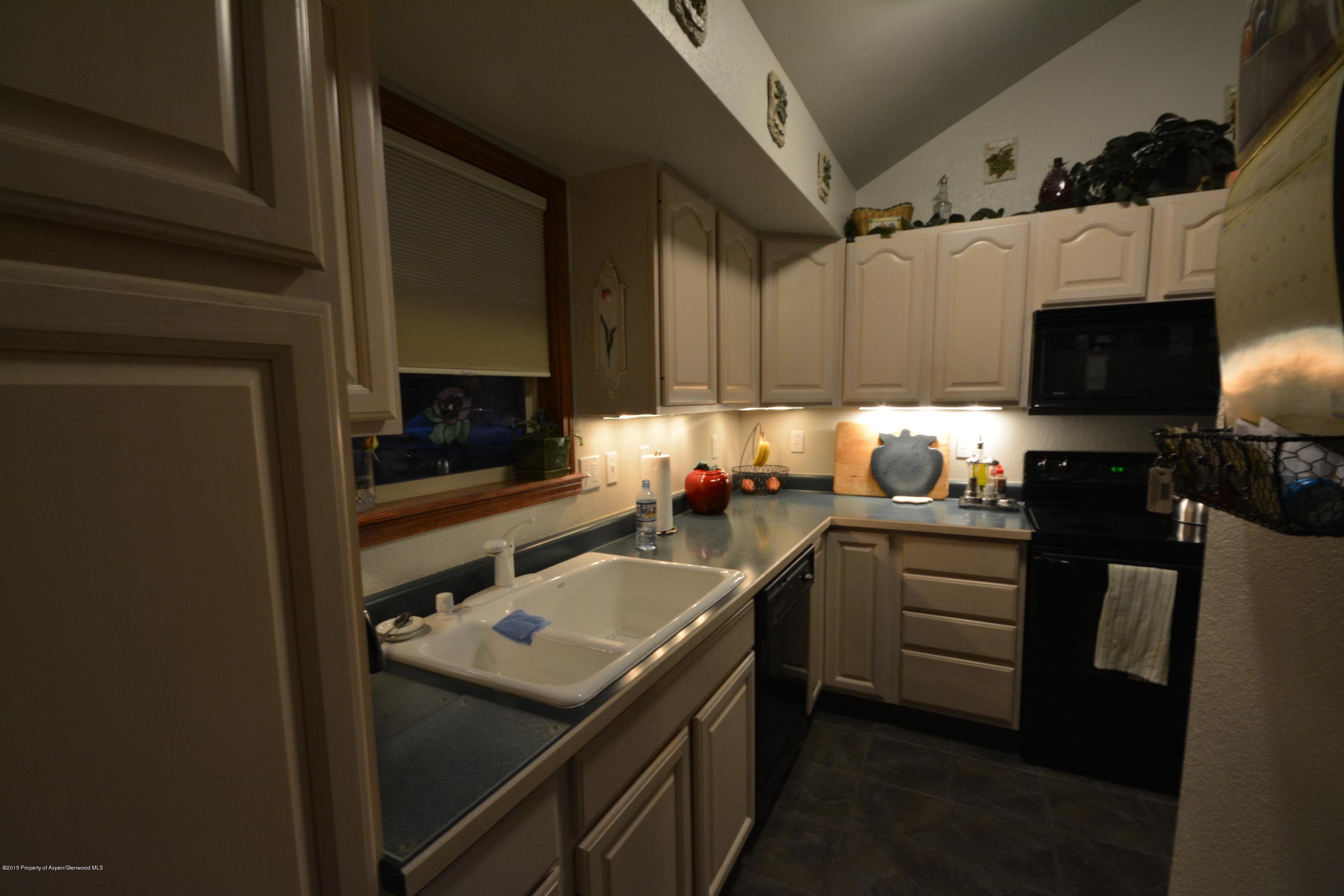 1000 Mount Sopris Drive 2, Glenwood Springs, CO 81601 - Photo 10