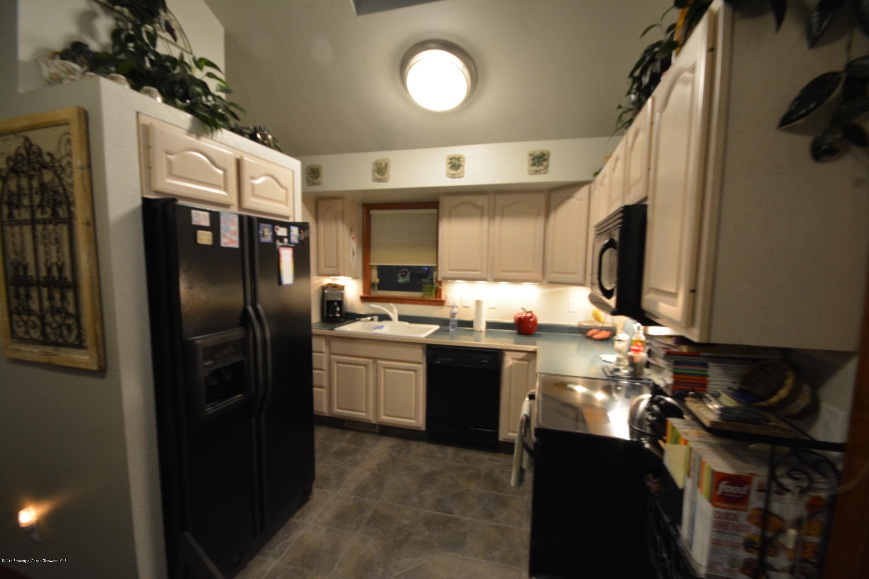 1000 Mount Sopris Drive 2, Glenwood Springs, CO 81601 - Photo 9