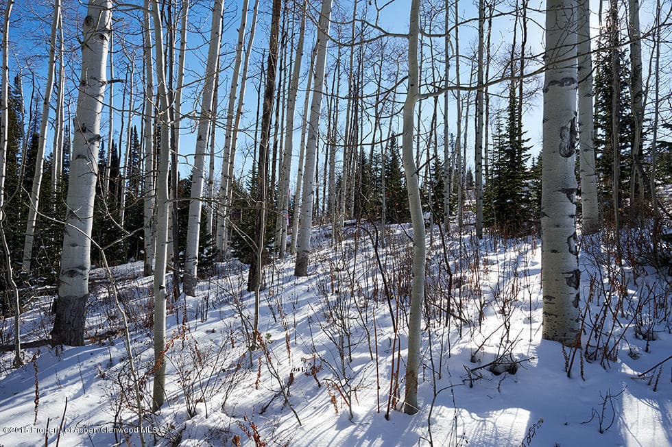 1951 Faraway Road, Snowmass Village, CO 81615 - Photo 14