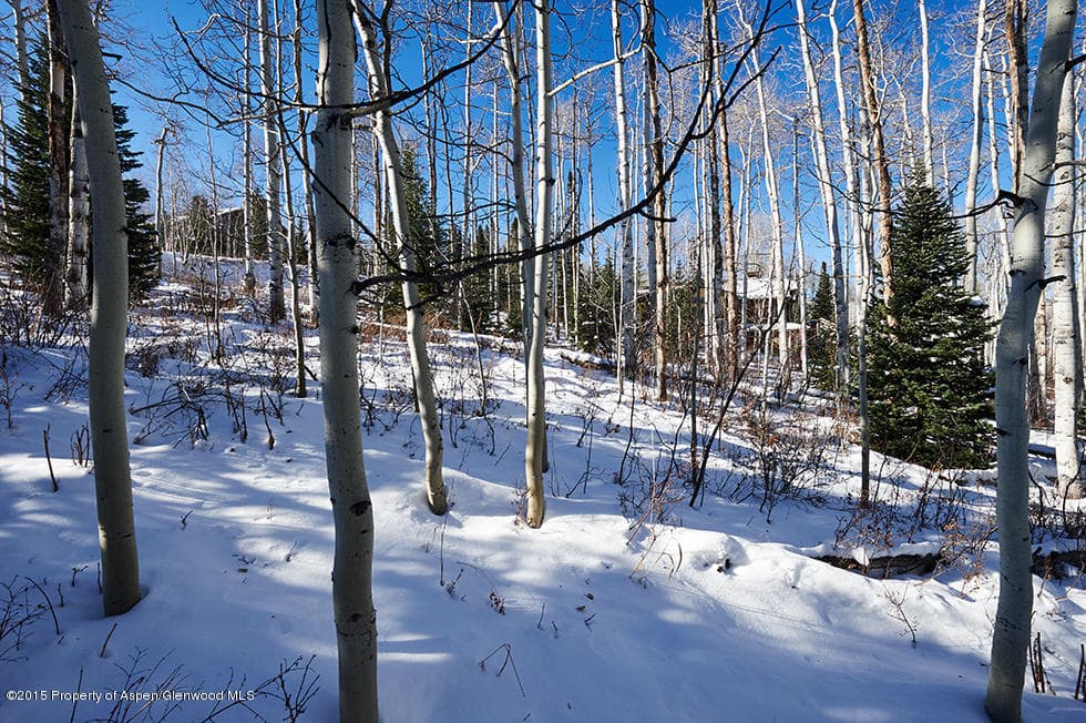 1951 Faraway Road, Snowmass Village, CO 81615 - Photo 16