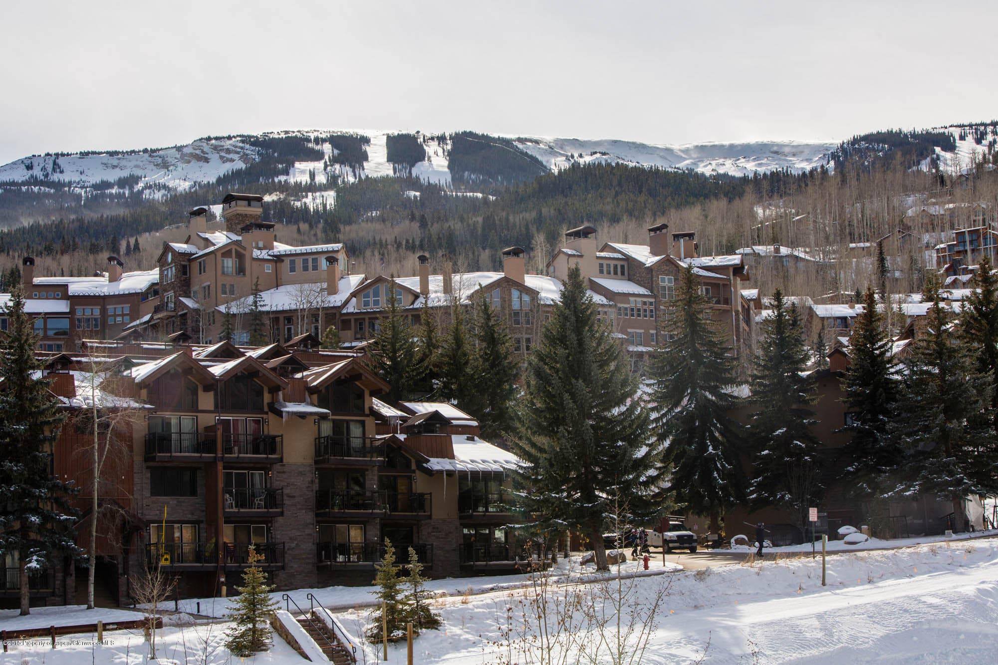 110 Carriage Way 3306, Snowmass Village, CO 81615 - Photo 9