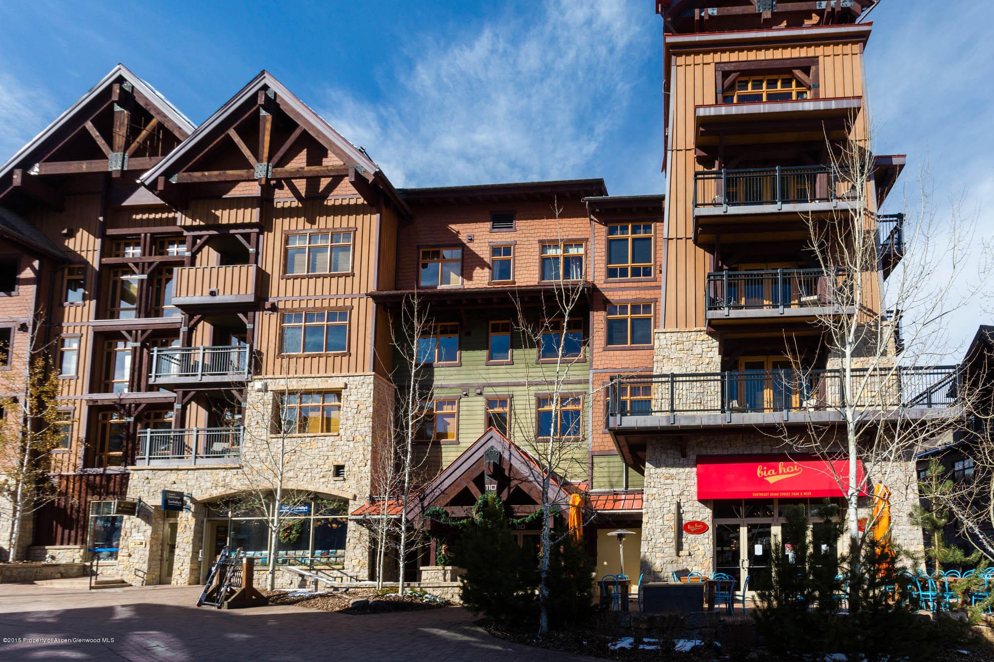 110 Carriage Way 3306, Snowmass Village, CO 81615 - Photo 20