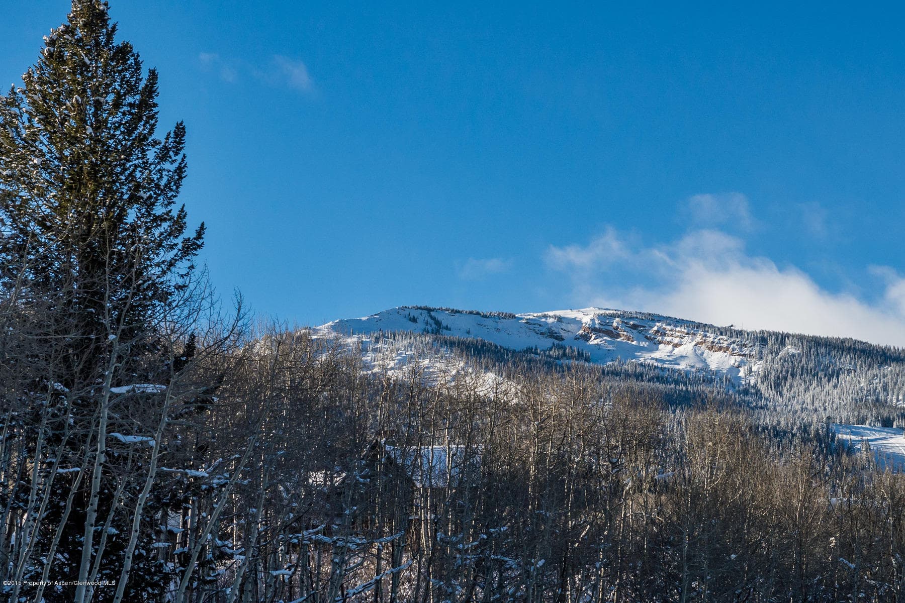 270 Spruce Ridge Lane, Snowmass Village, CO 81615 - Photo 14