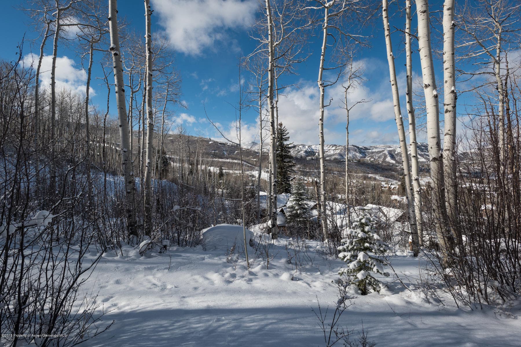 270 Spruce Ridge Lane, Snowmass Village, CO 81615 - Photo 20