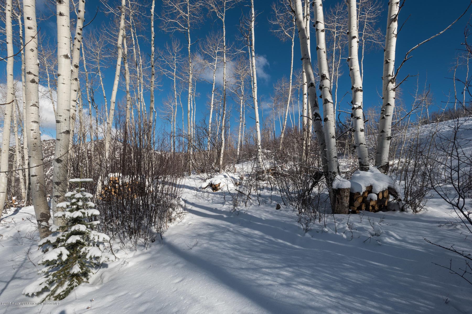 270 Spruce Ridge Lane, Snowmass Village, CO 81615 - Photo 21