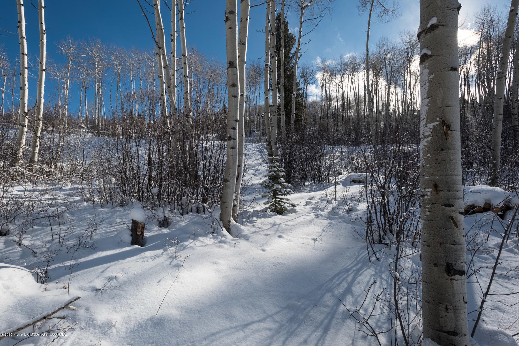 270 Spruce Ridge Lane, Snowmass Village, CO 81615 - Photo 22