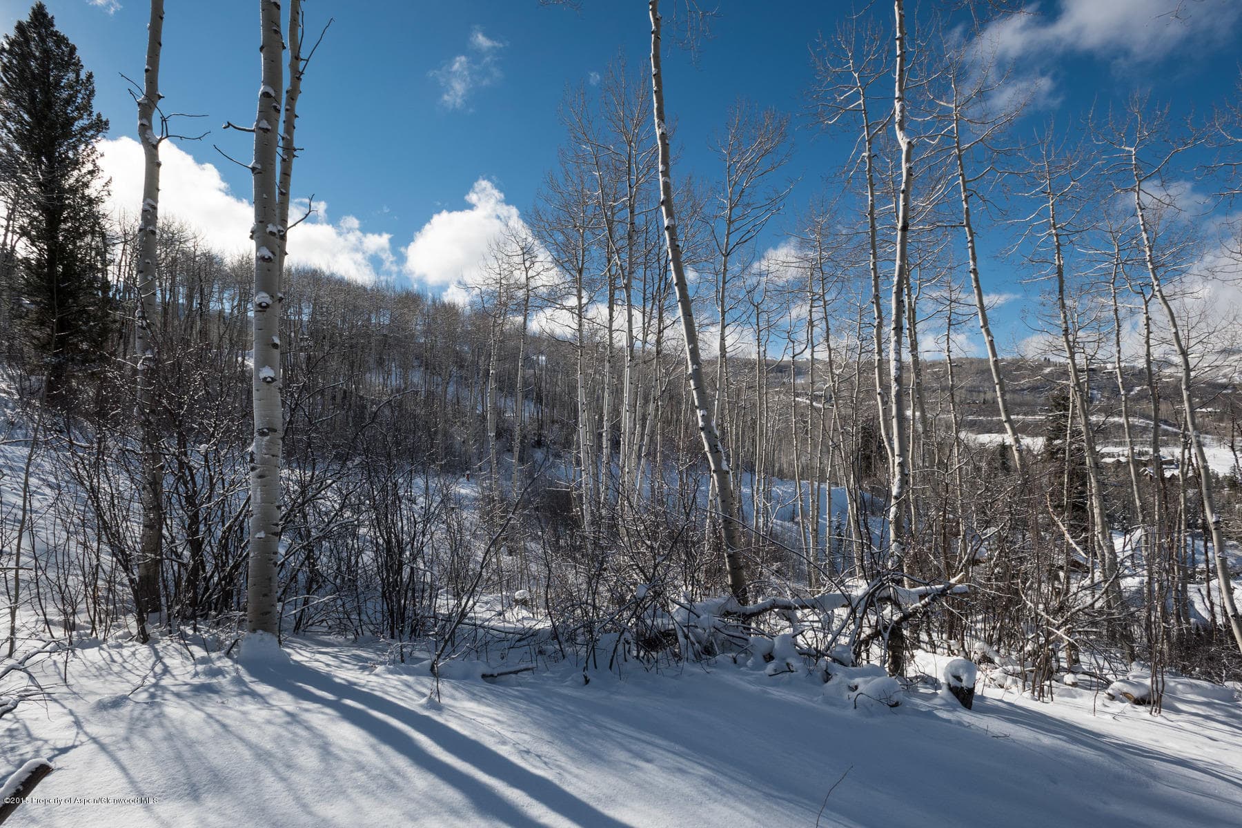 270 Spruce Ridge Lane, Snowmass Village, CO 81615 - Photo 29