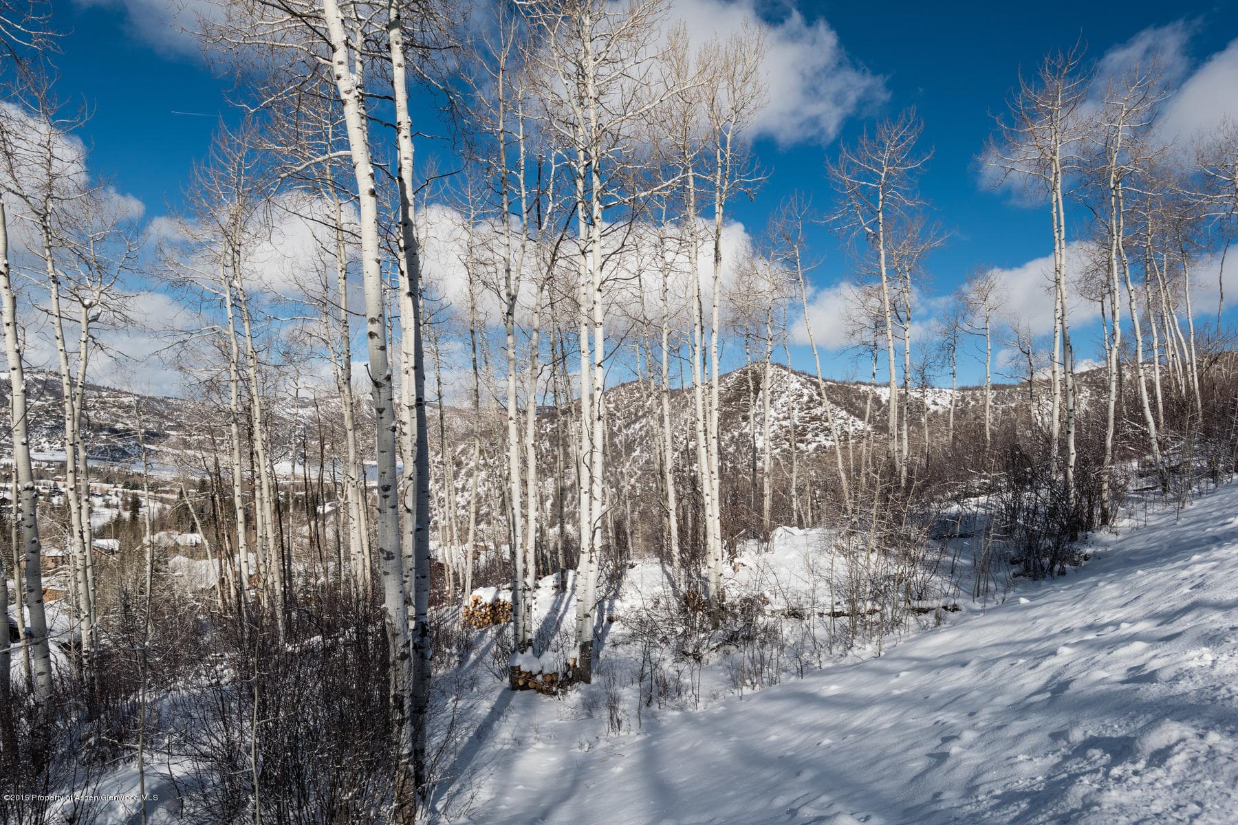 270 Spruce Ridge Lane, Snowmass Village, CO 81615 - Photo 32