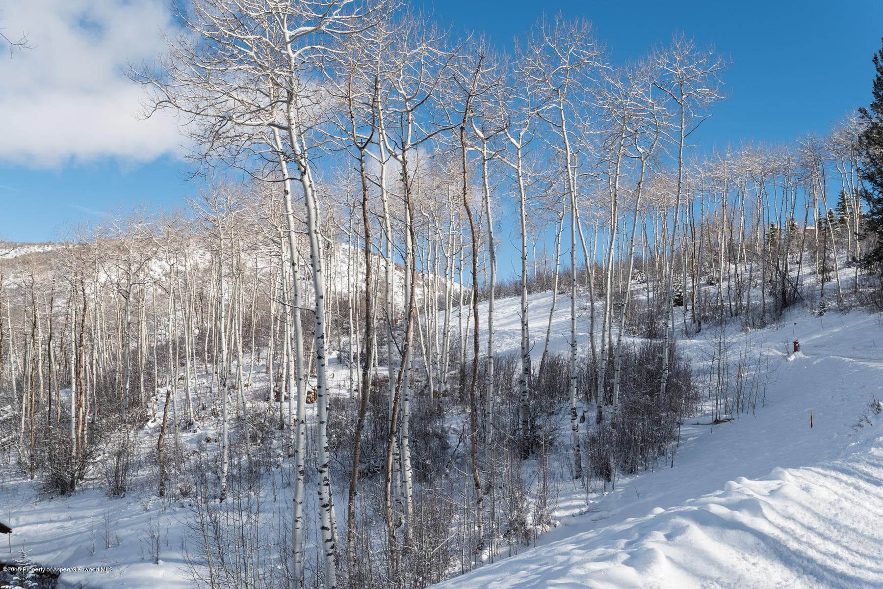 270 Spruce Ridge Lane, Snowmass Village, CO 81615 - Photo 36