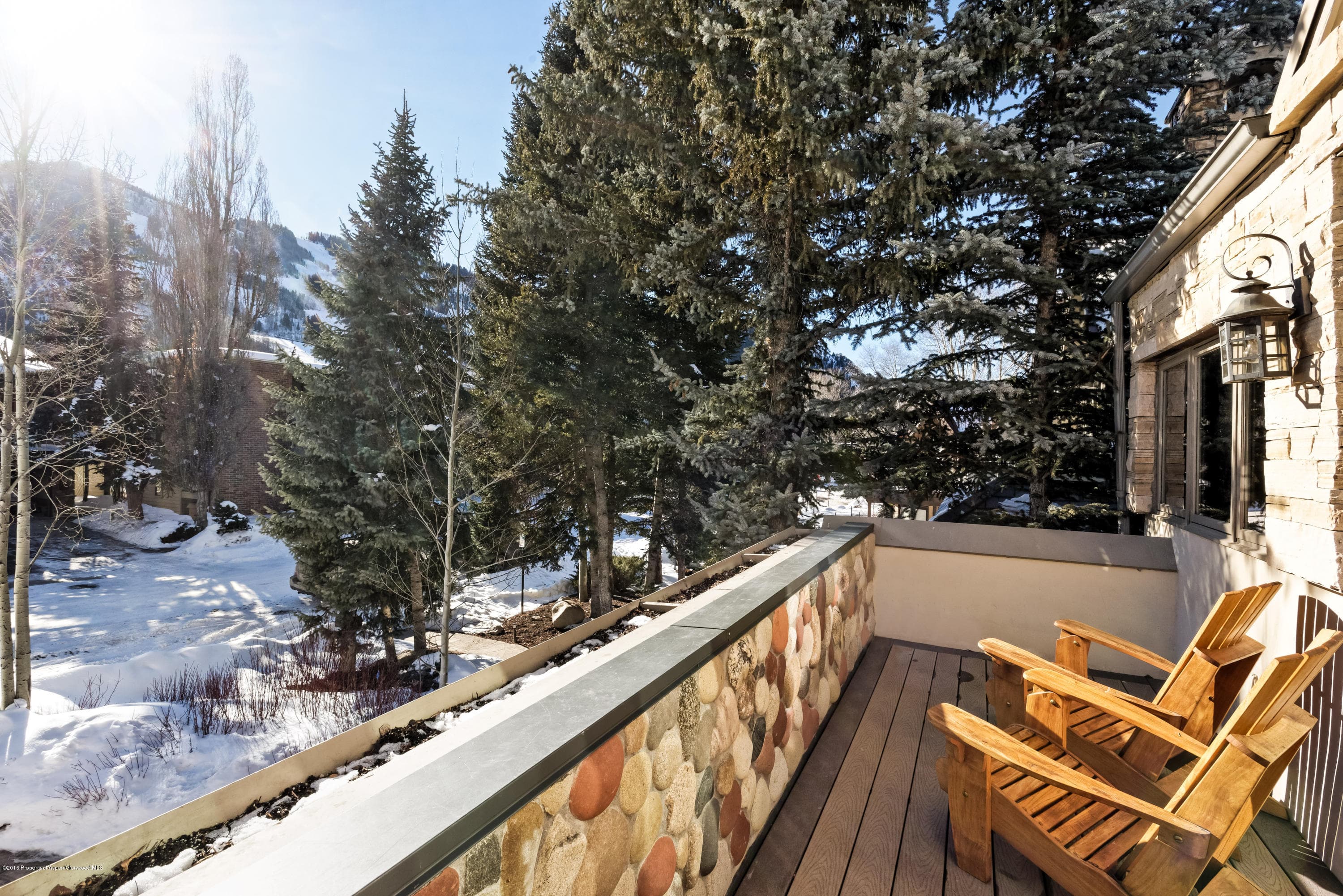 1016 E Hyman Avenue #2, Aspen, CO 81611 - Photo 16