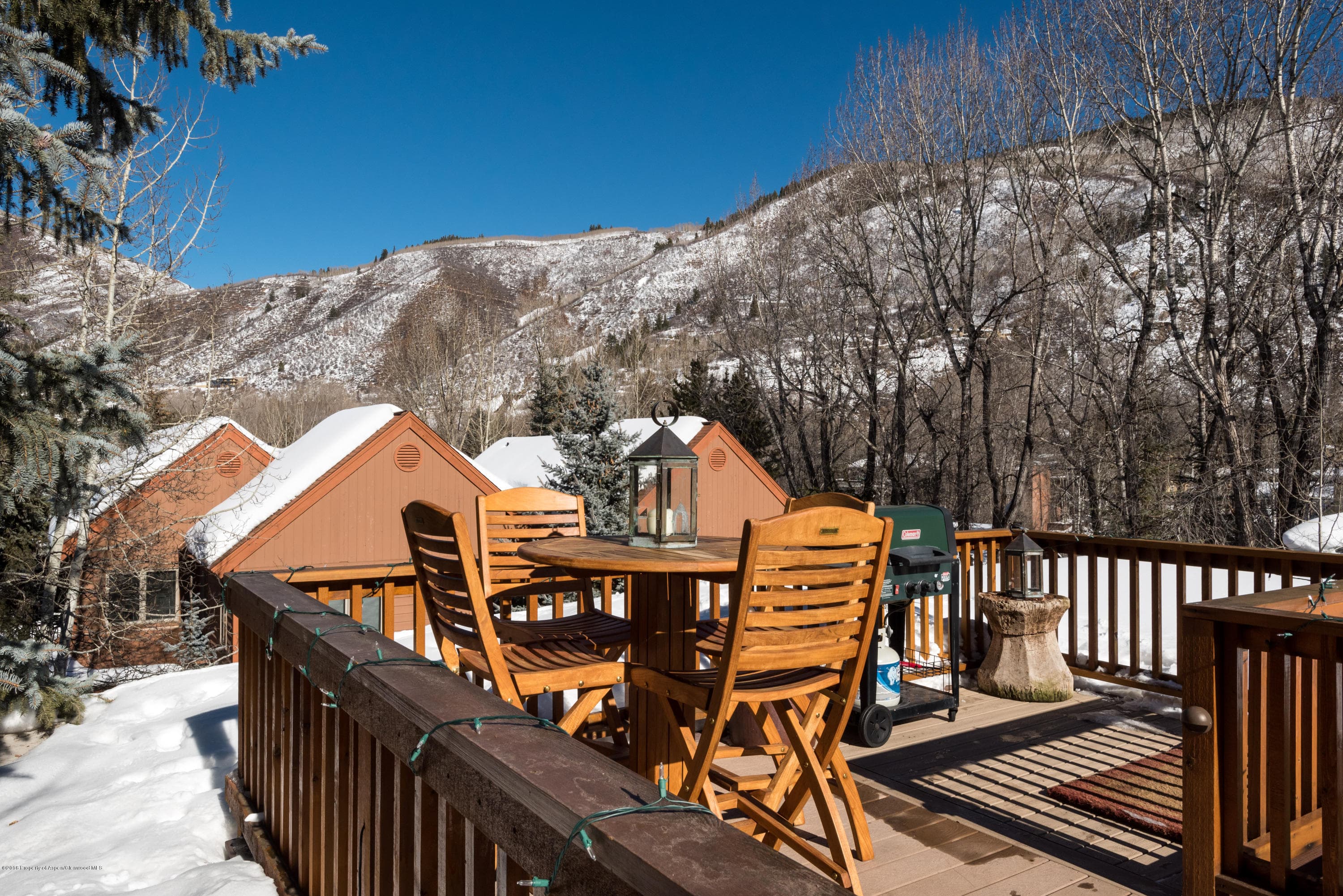 1016 E Hyman Avenue #2, Aspen, CO 81611 - Photo 21