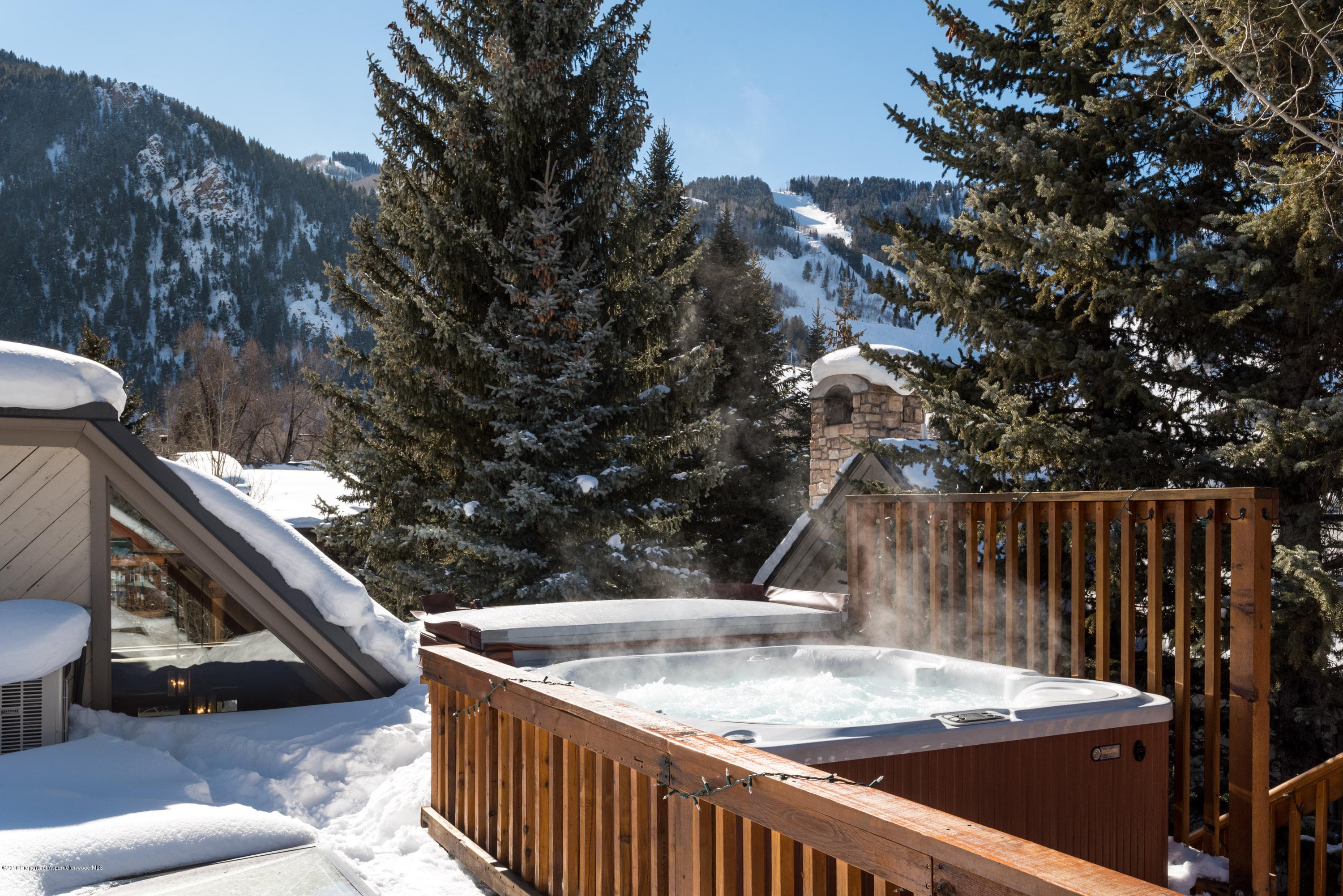 1016 E Hyman Avenue #2, Aspen, CO 81611 - Photo 23