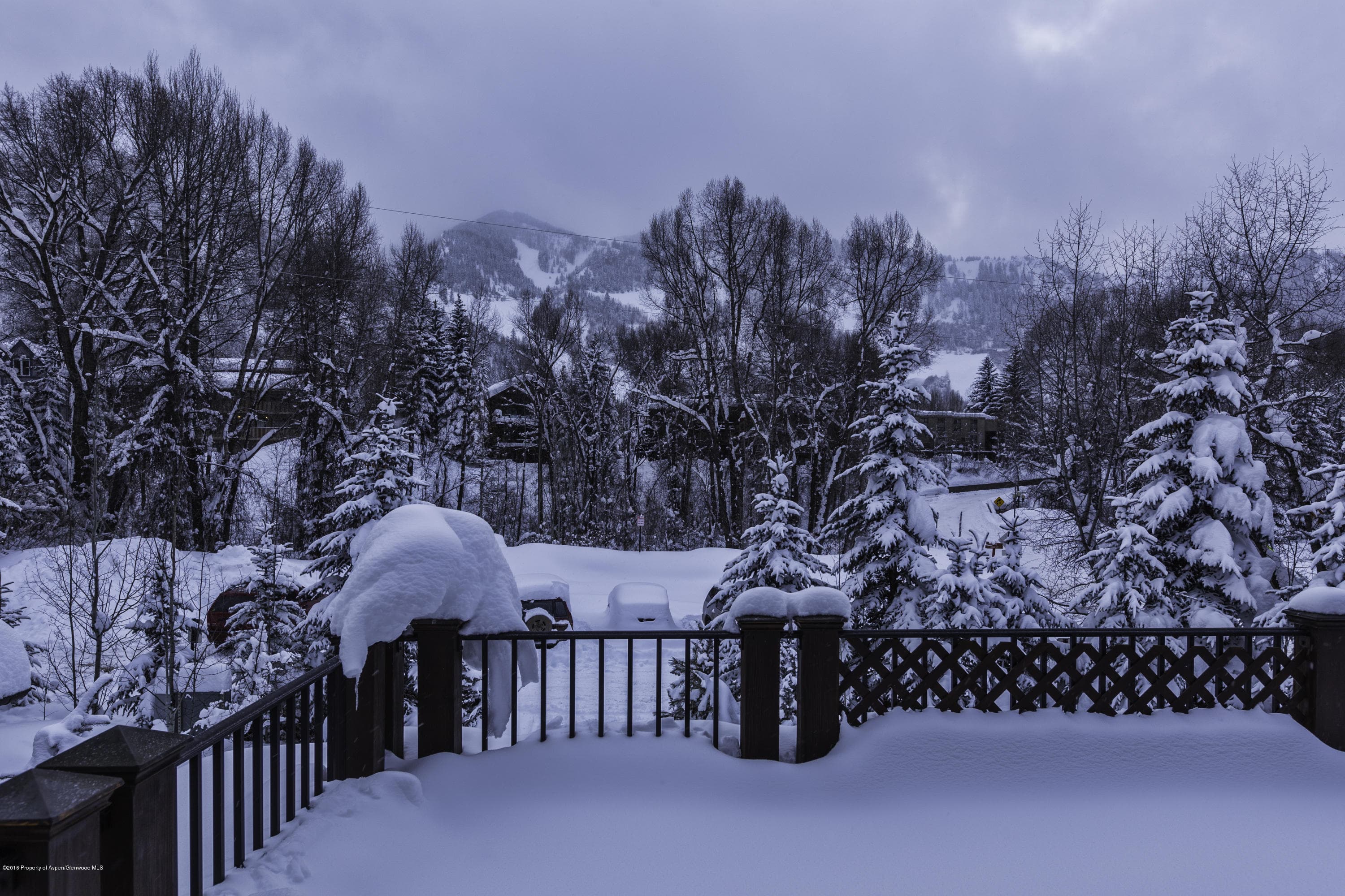 17 Queen Street, Aspen, CO 81611 - Photo 7