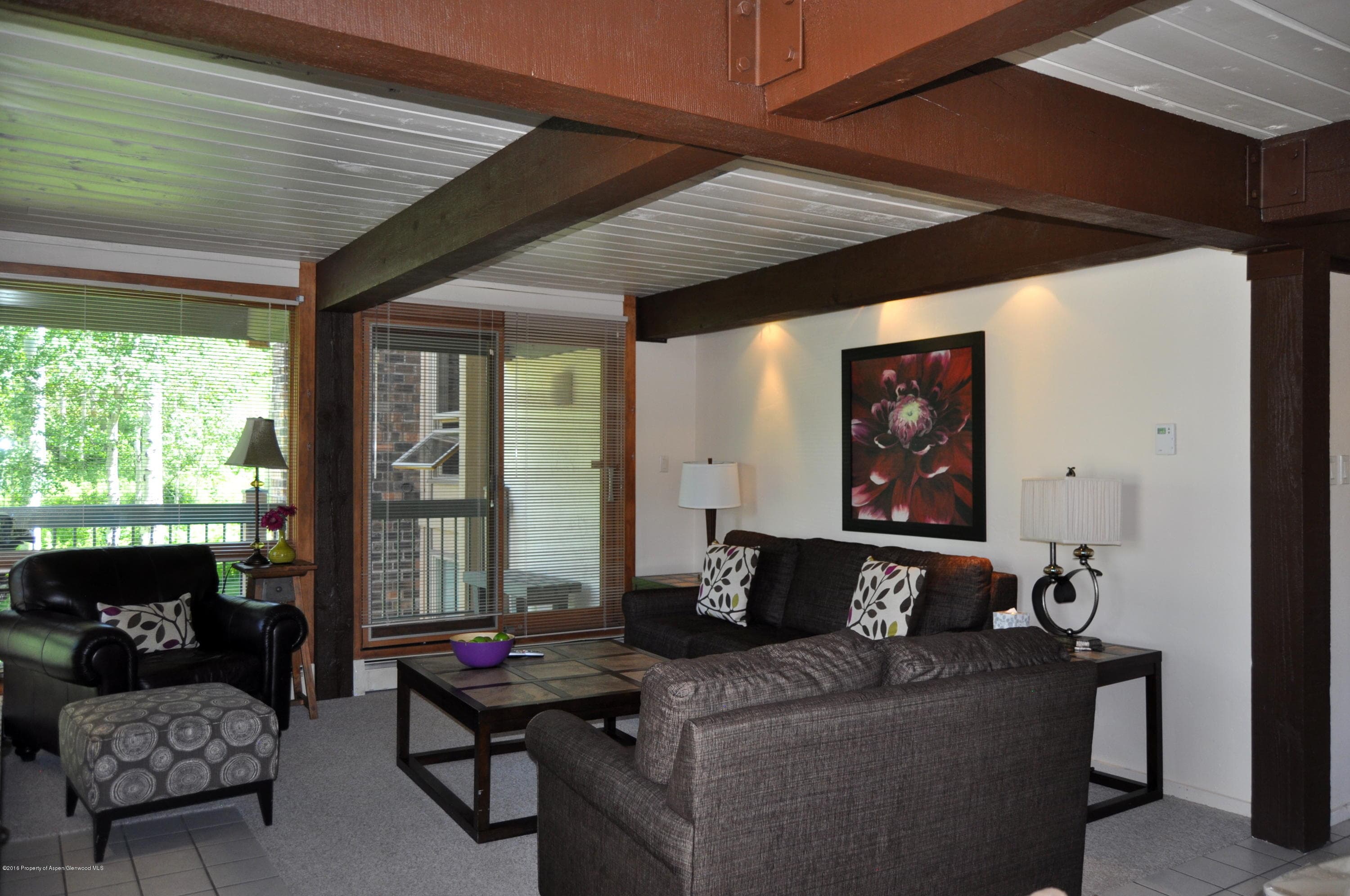 855 Carriage Way Slope #201, Snowmass Village, CO 81615 - Photo 18