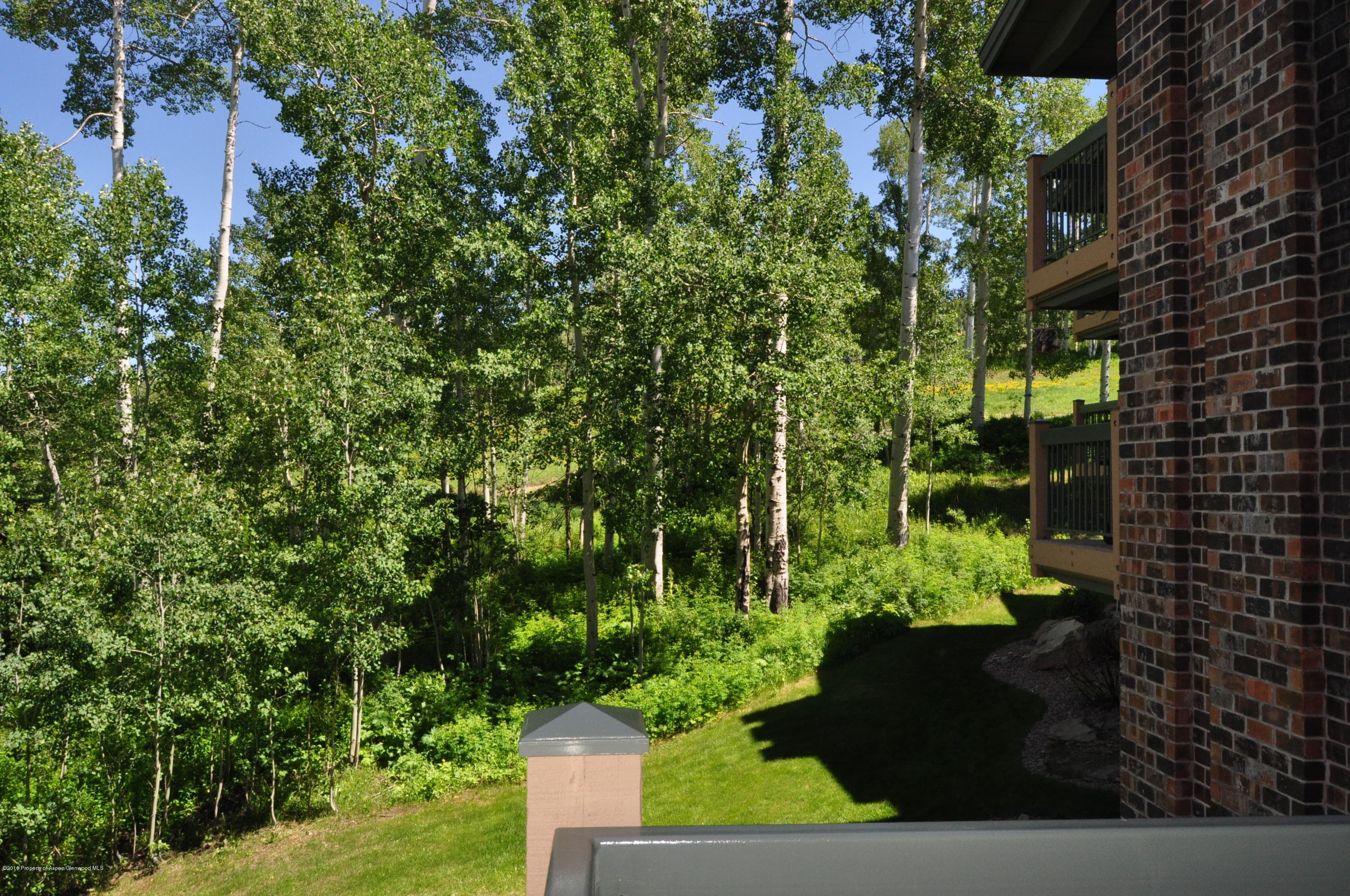 855 Carriage Way Slope #201, Snowmass Village, CO 81615 - Photo 34
