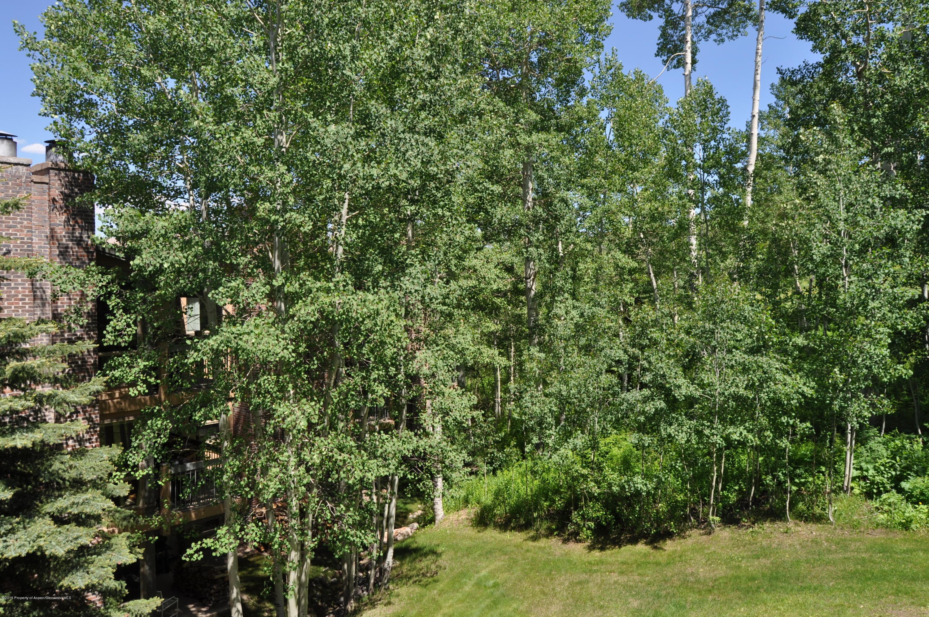 855 Carriage Way Slope #201, Snowmass Village, CO 81615 - Photo 35