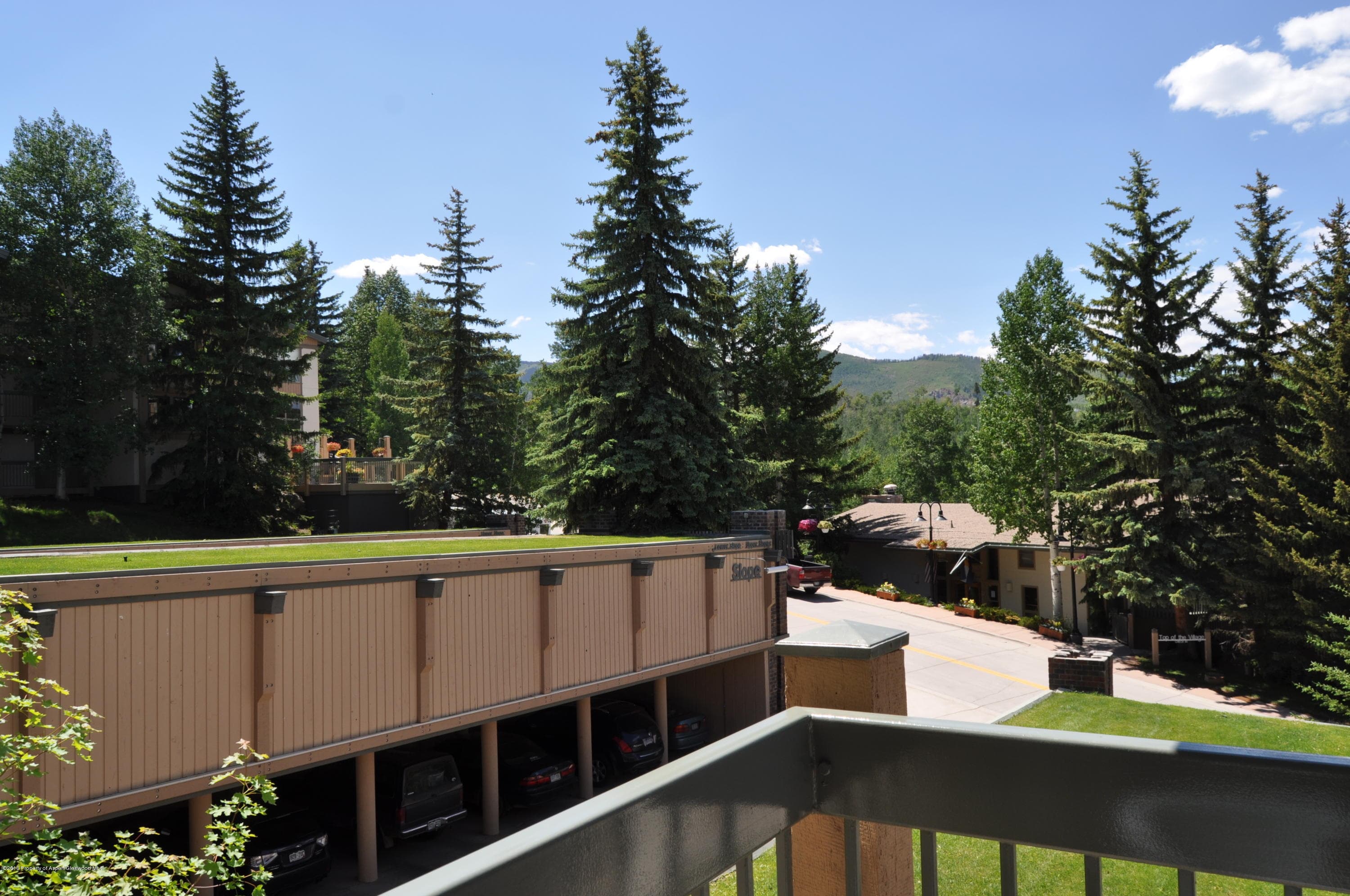 855 Carriage Way Slope #201, Snowmass Village, CO 81615 - Photo 37