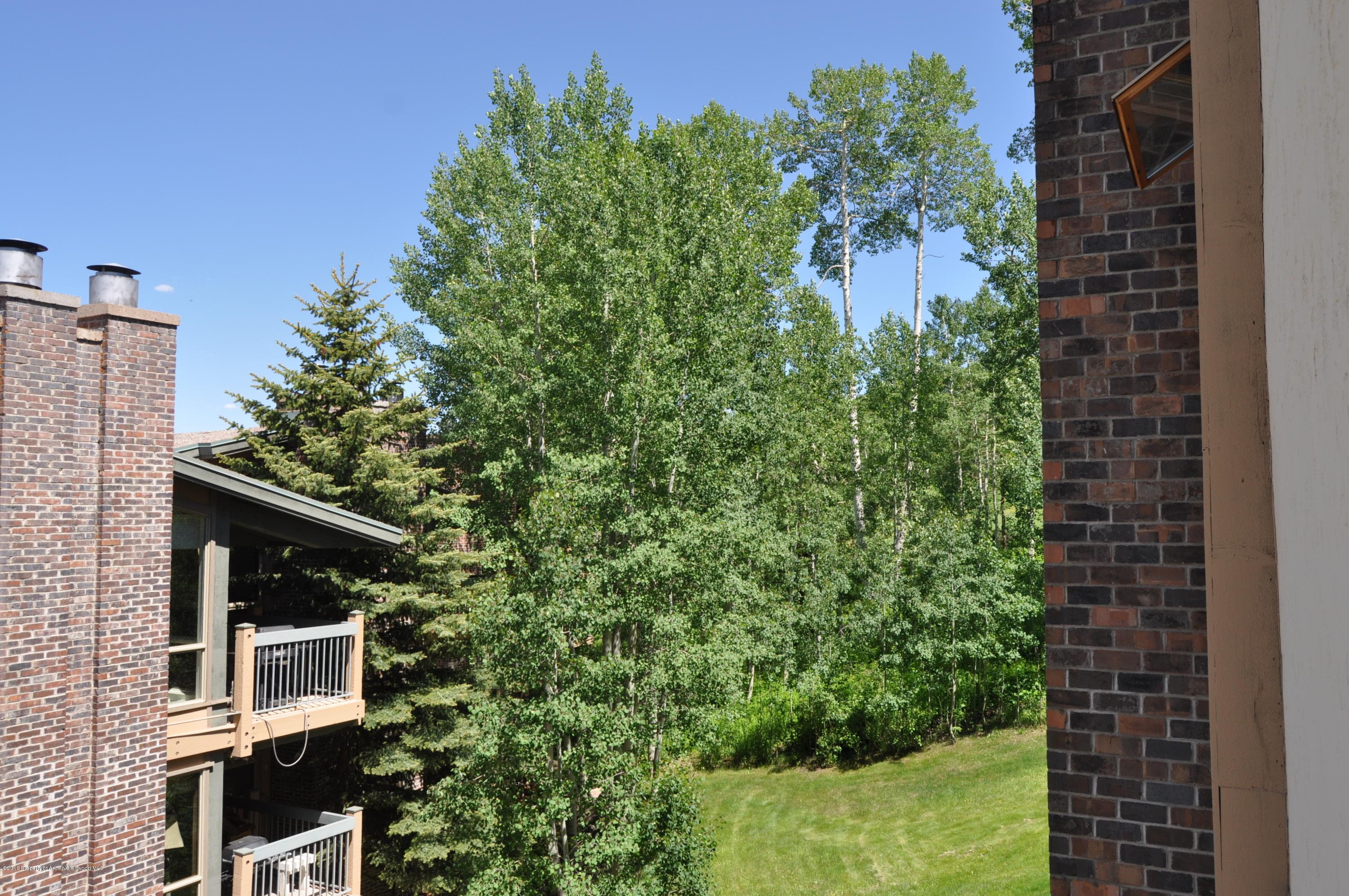 855 Carriage Way Slope #201, Snowmass Village, CO 81615 - Photo 39