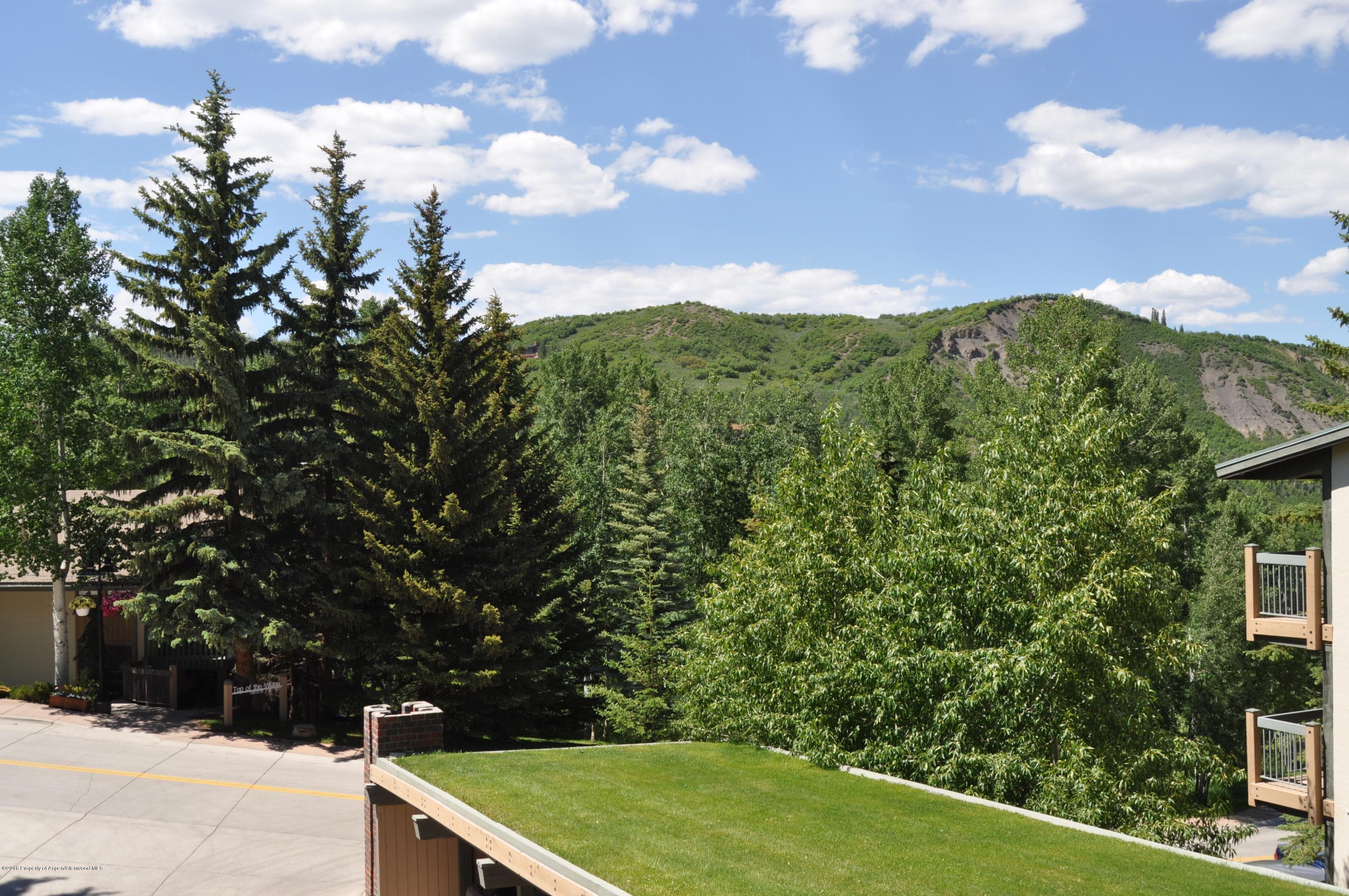 855 Carriage Way Slope #201, Snowmass Village, CO 81615 - Photo 40