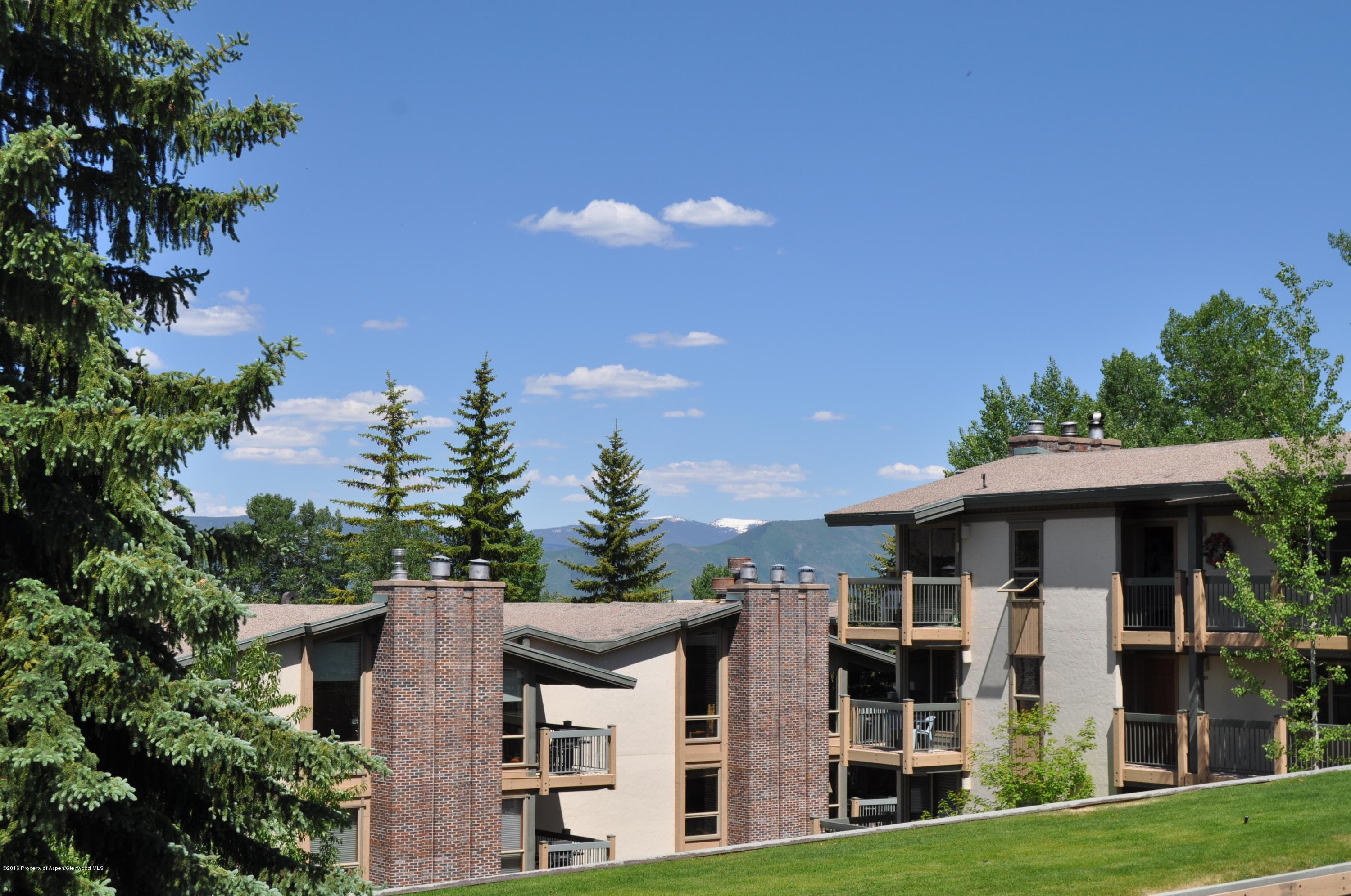 855 Carriage Way Slope #201, Snowmass Village, CO 81615 - Photo 41