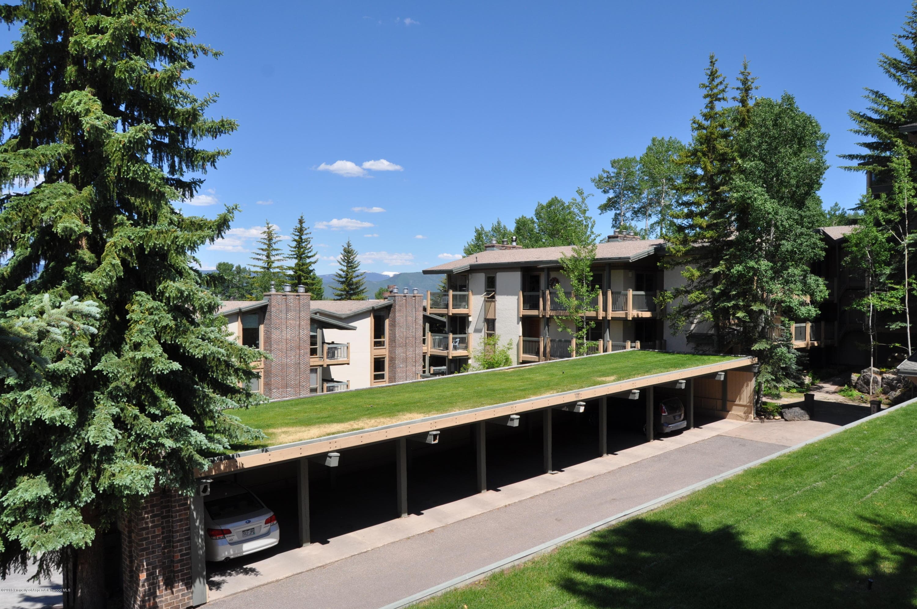 855 Carriage Way Slope #201, Snowmass Village, CO 81615 - Photo 42