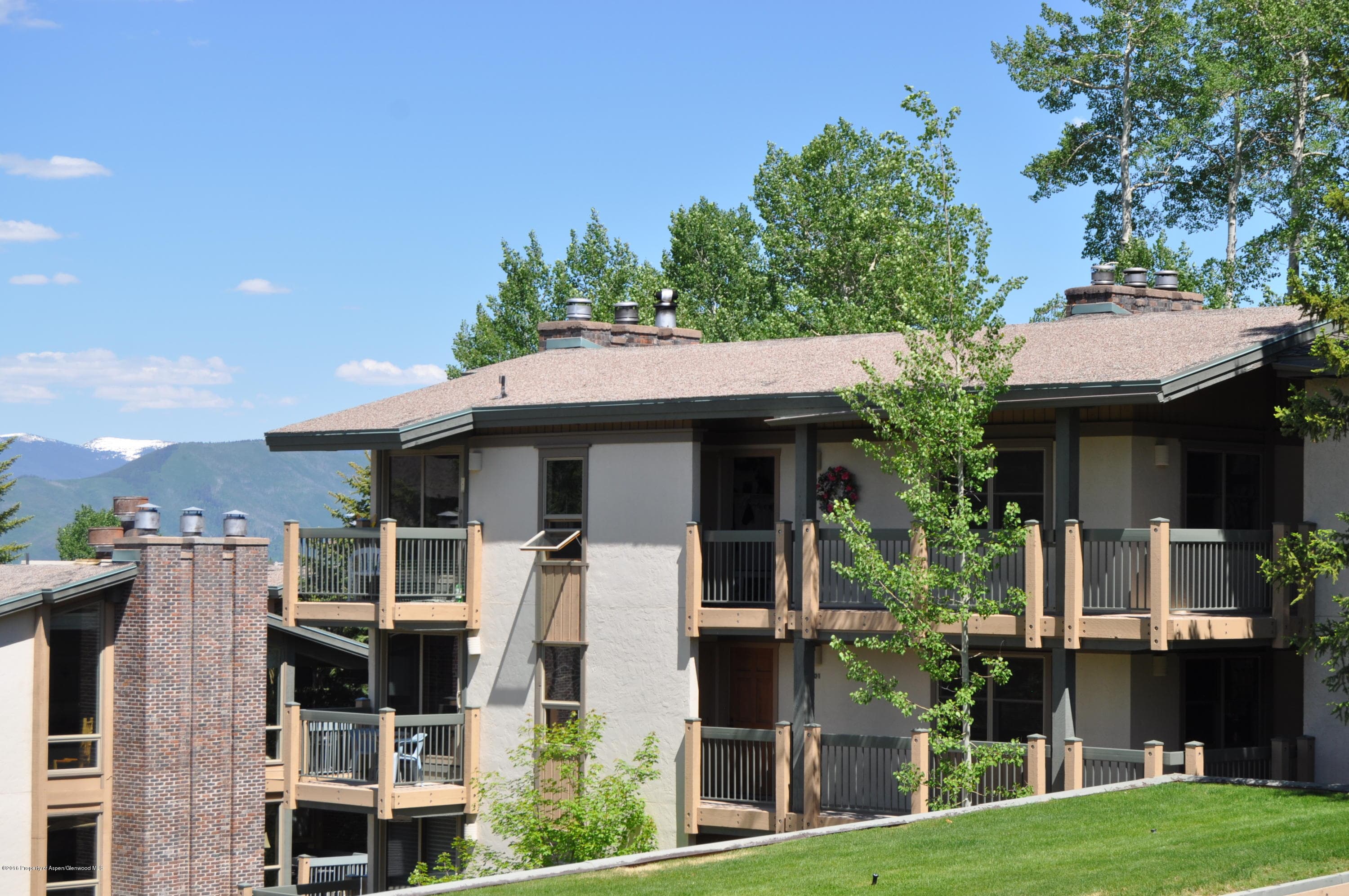855 Carriage Way Slope #201, Snowmass Village, CO 81615 - Photo 43